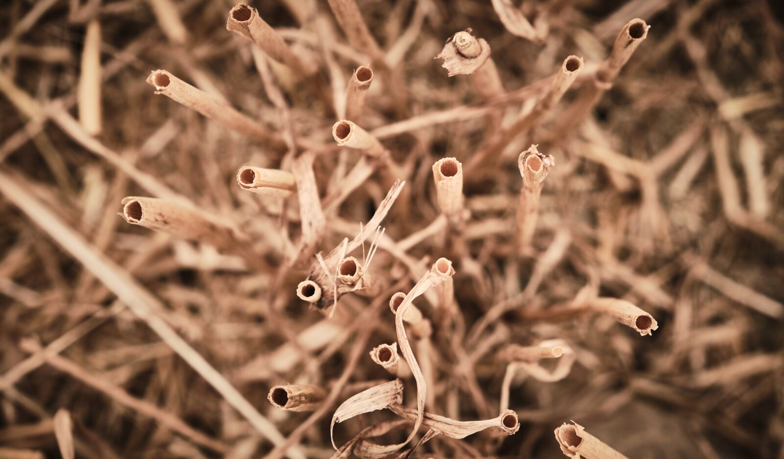 Fujifilm XF 18-55mm F2.8-4 R LM OIS sample photo. Straw, harvest, perspective photography