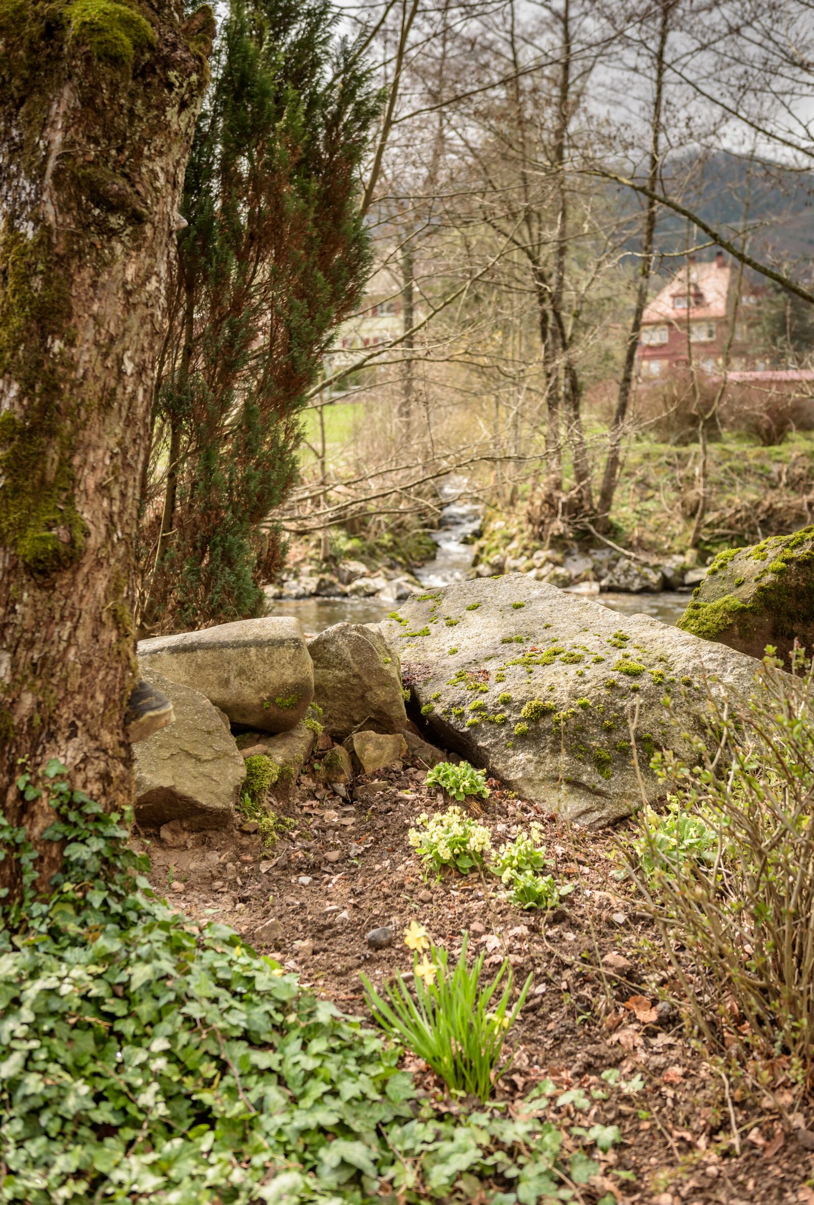 Nikon D750 sample photo. Fr hlingsbl her, stones photography