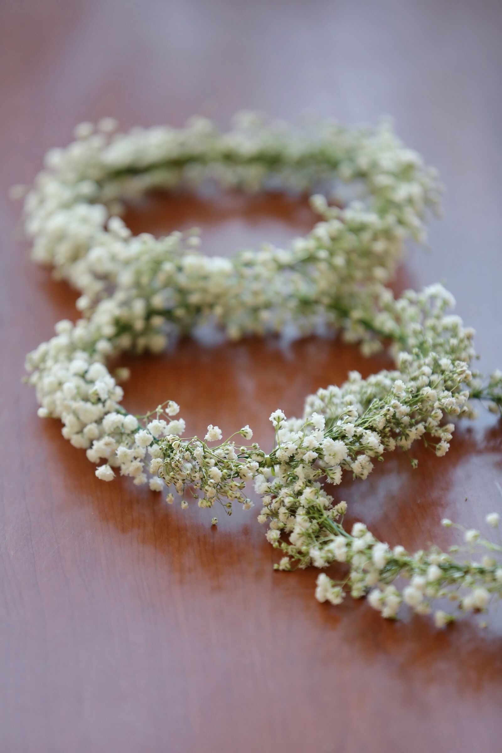 Canon EOS 5D Mark III sample photo. Circle, close-up, decoration, decorative photography