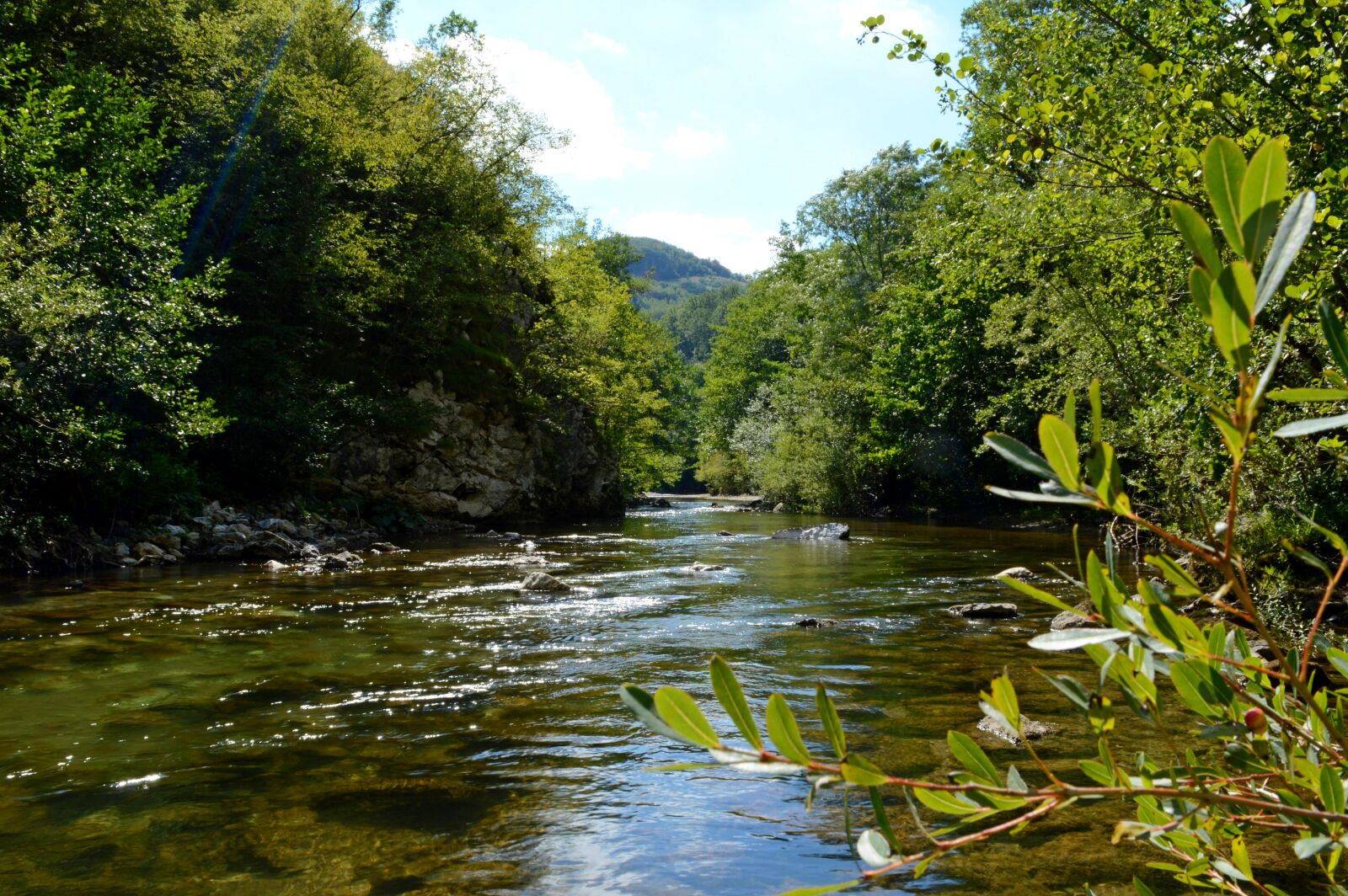 Nikon D3200 sample photo. Mountain, natue, river, rzav photography