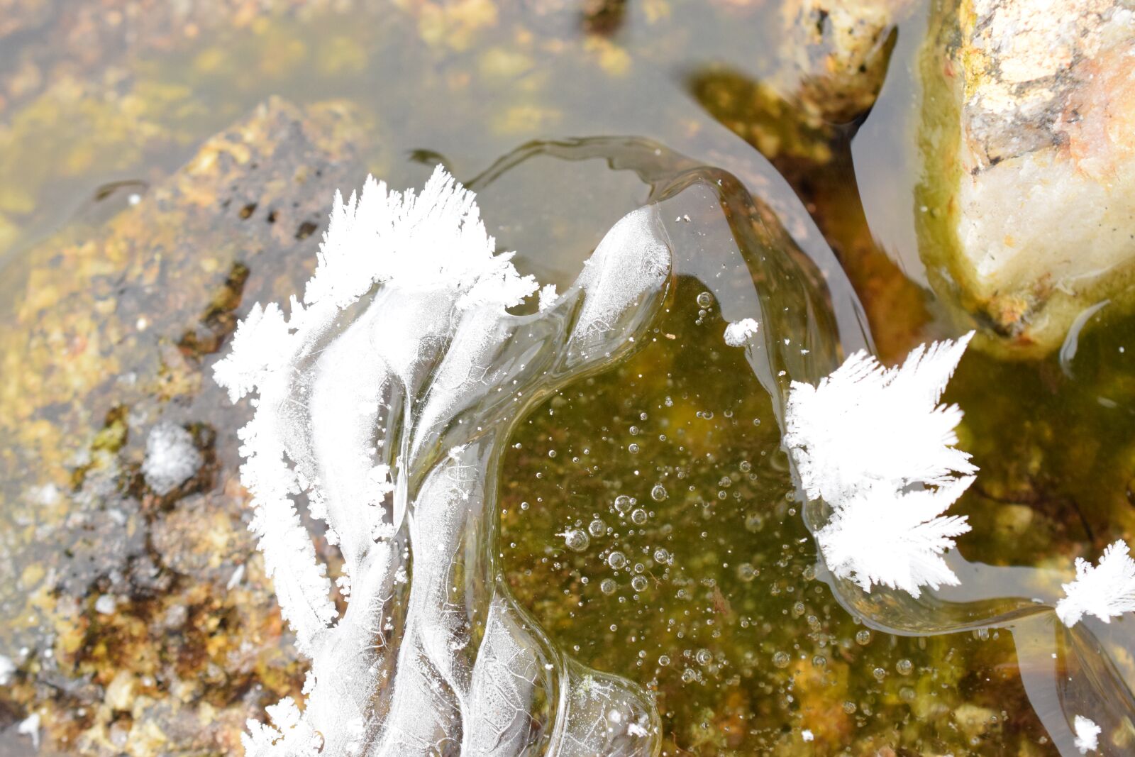 Nikon D5300 sample photo. Gel, cold, winter photography