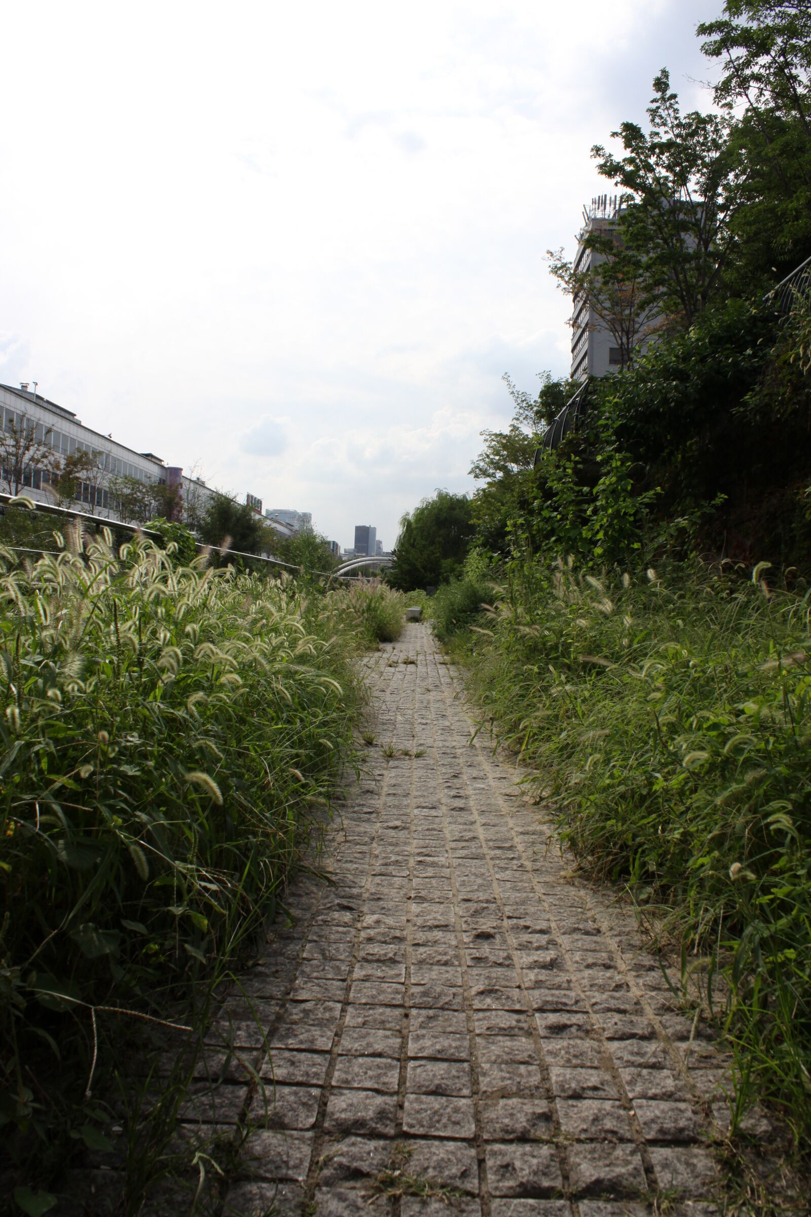 Canon EOS 50D sample photo. Road, nature, park photography