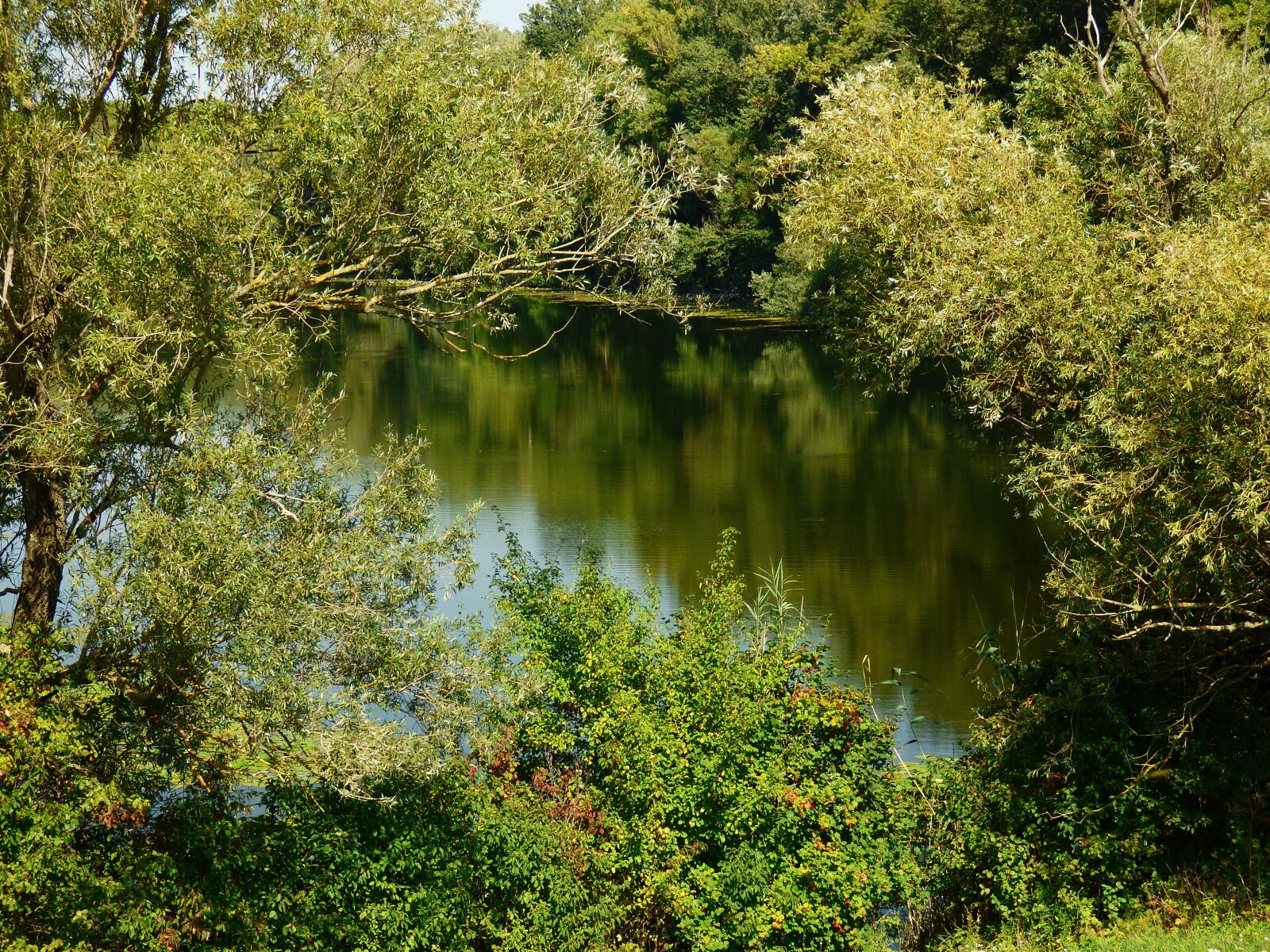 Panasonic DMC-FZ72 sample photo. Nature, country, water photography