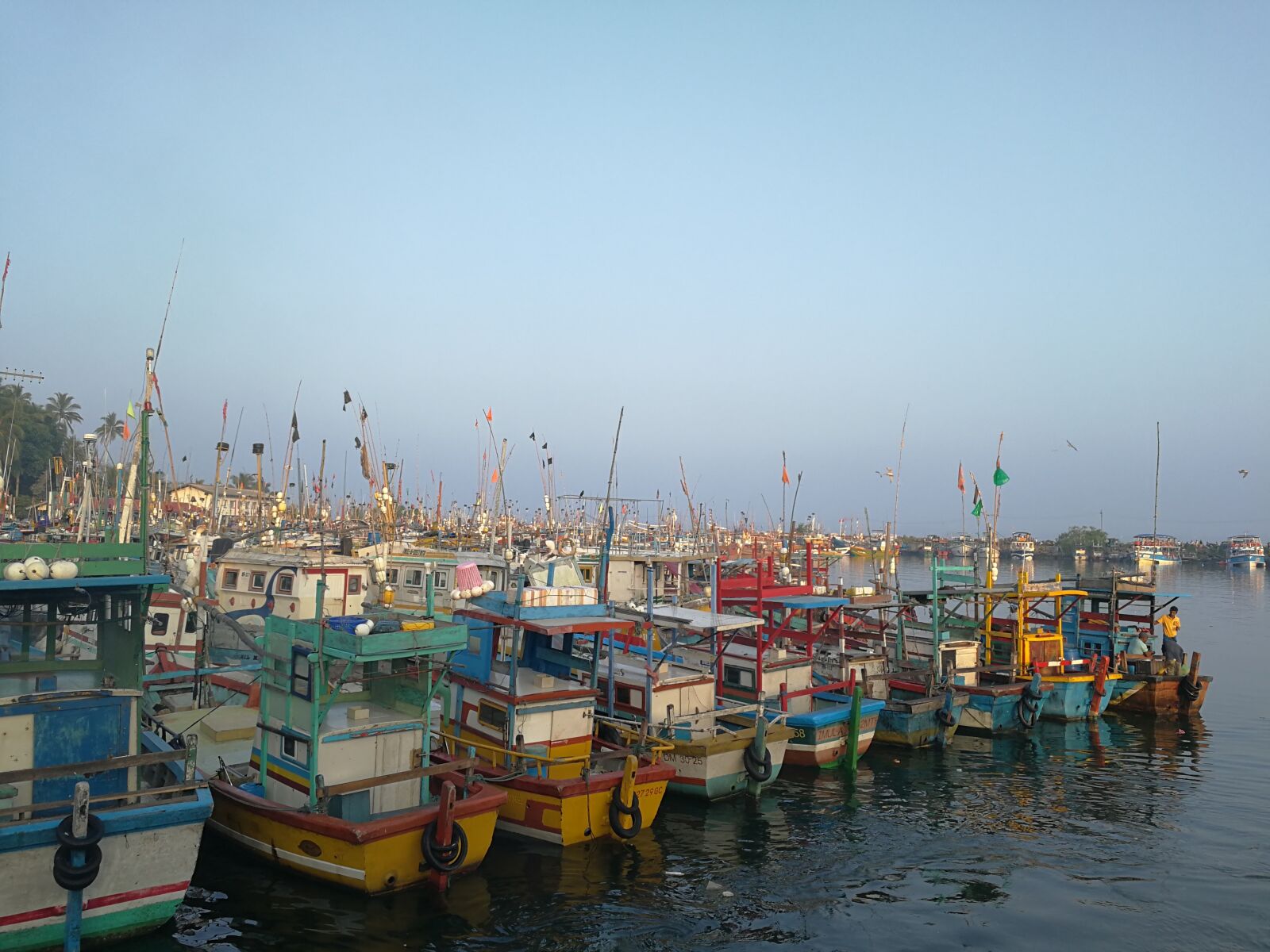 HUAWEI Mate 9 sample photo. Port, sri lanka, sea photography