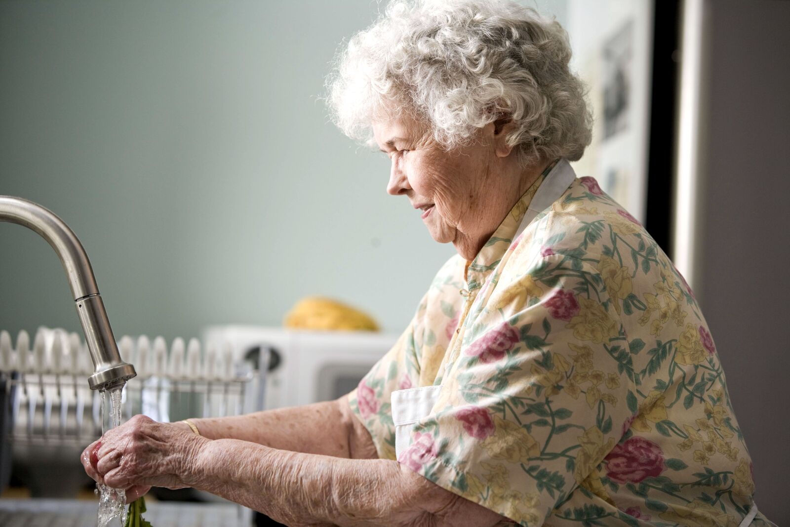 Canon EOS-1Ds Mark II sample photo. Portrait, old woman, kitchen photography