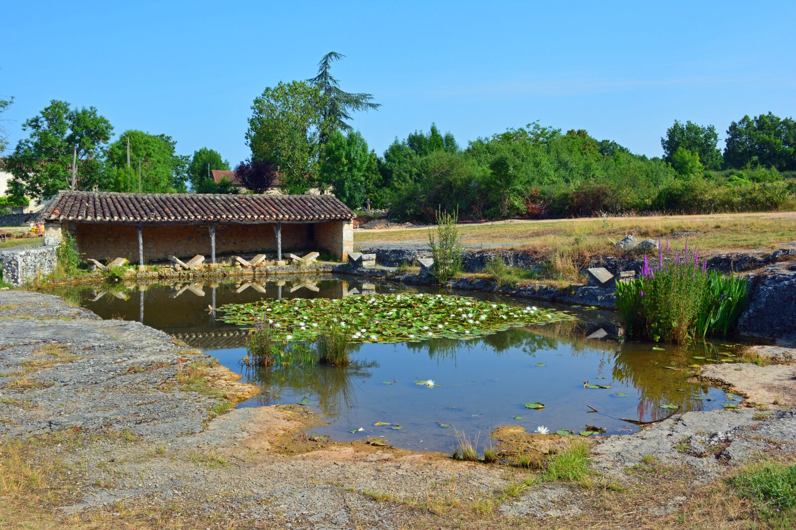 Nikon D5200 sample photo. Former washery, mare, water photography
