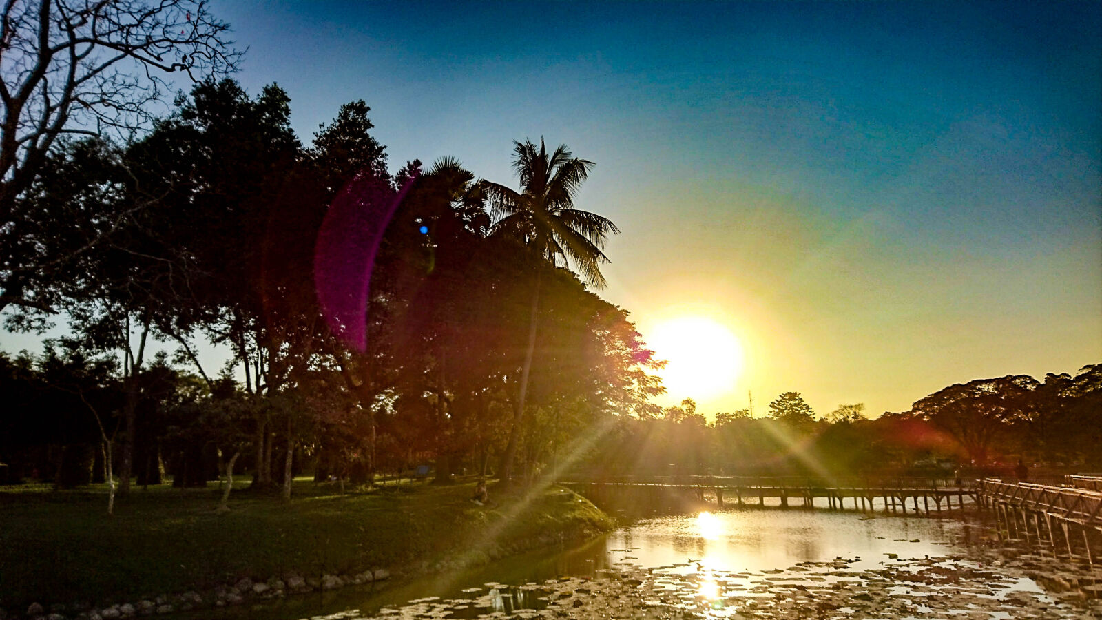 Sony Xperia Z5 sample photo. Bridge, landscape, sunset, trees photography