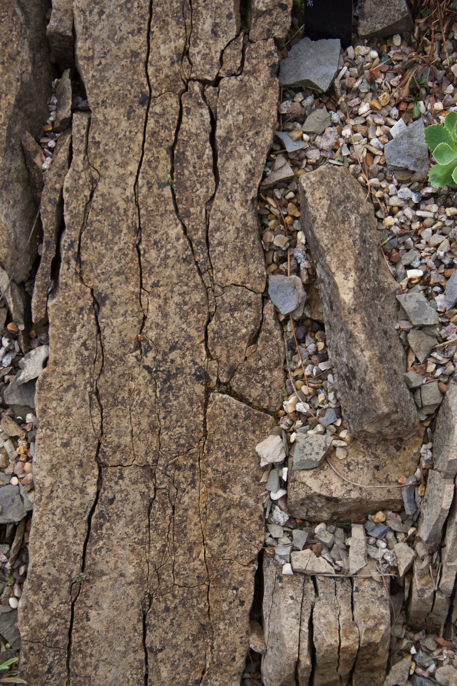 Canon EOS 350D (EOS Digital Rebel XT / EOS Kiss Digital N) sample photo. Stone, rough, streak photography