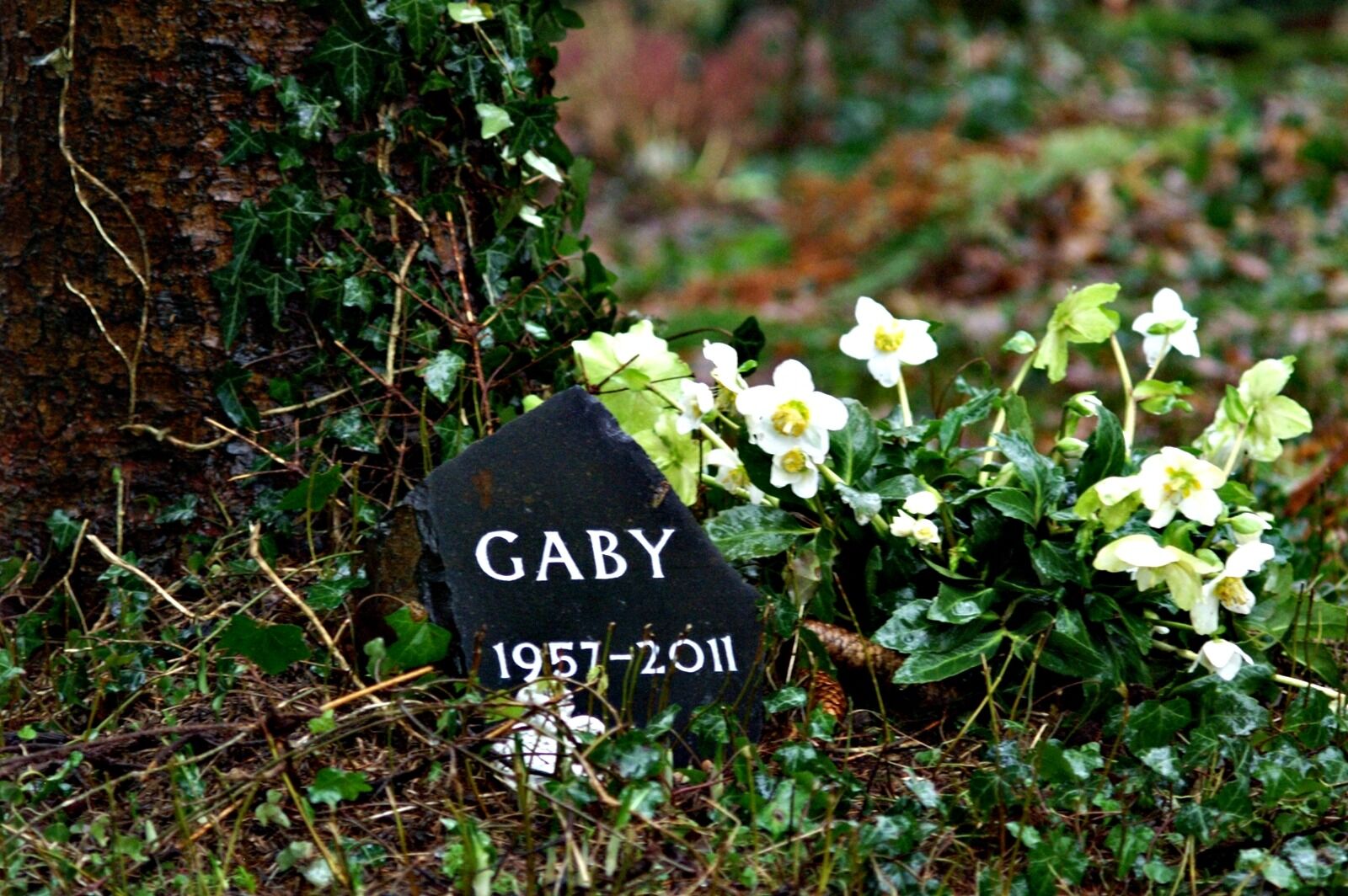 KONICA MINOLTA DYNAX 7D sample photo. Burial, cemetery, mourning photography