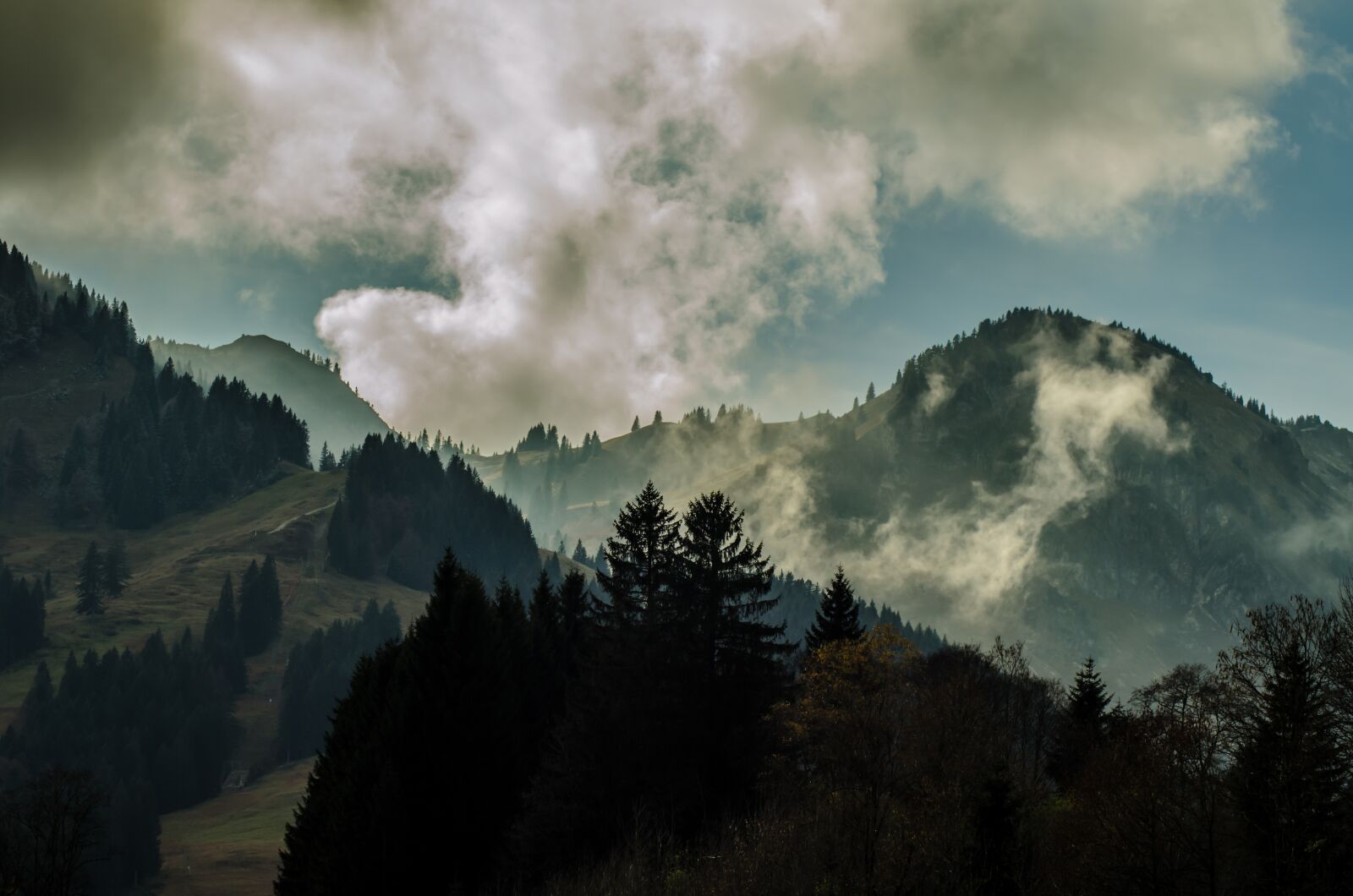 Nikon D5100 sample photo. November, mood, gloomy photography