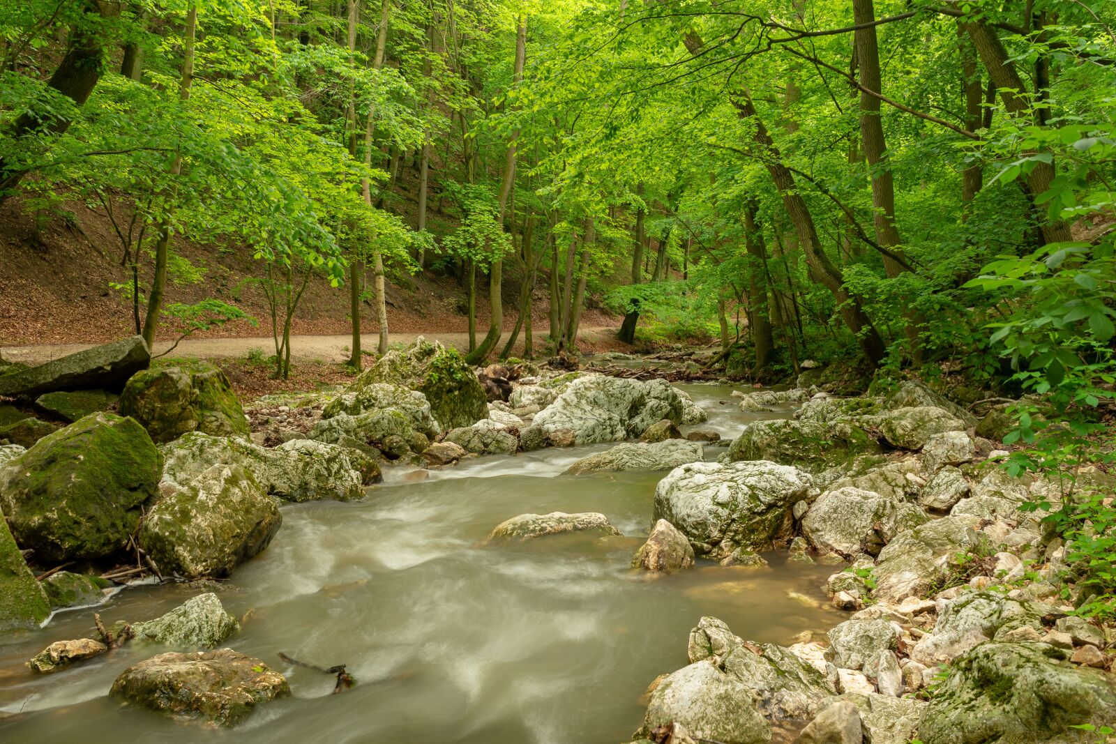 Nikon D7200 sample photo. Stream, green, forest photography