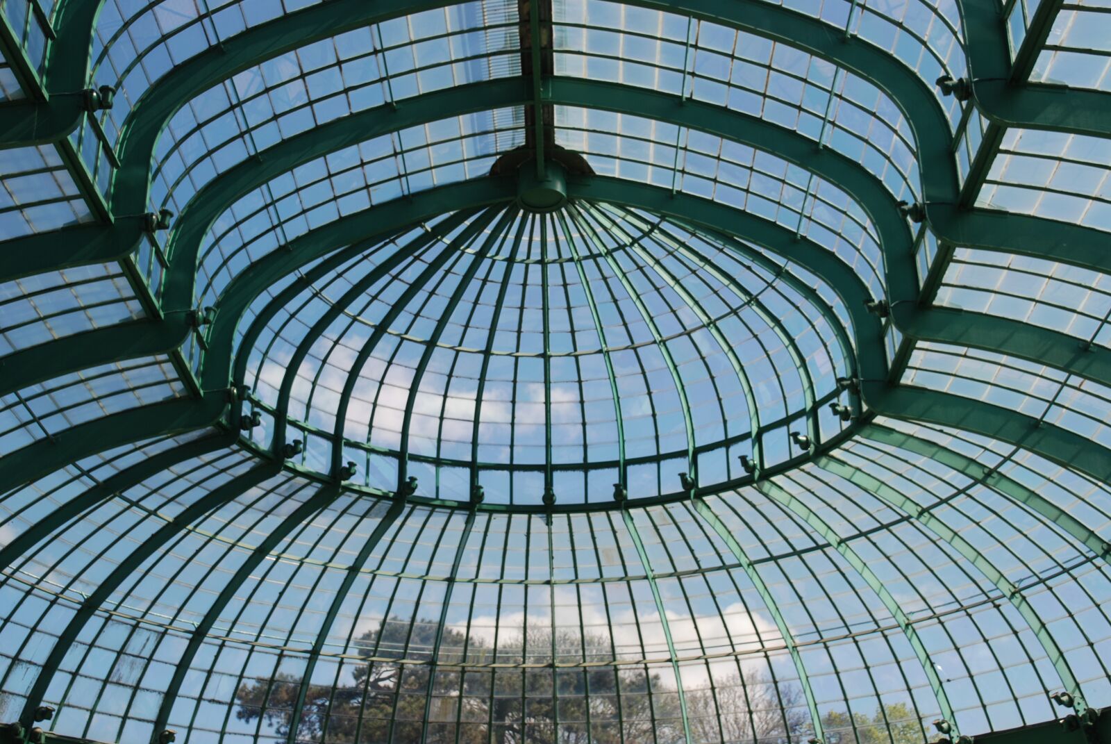 Nikon D80 sample photo. Botanical gardens, brussels, belgium photography