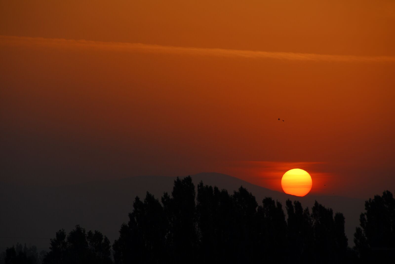 Nikon D200 sample photo. Sun, sunset, nature photography