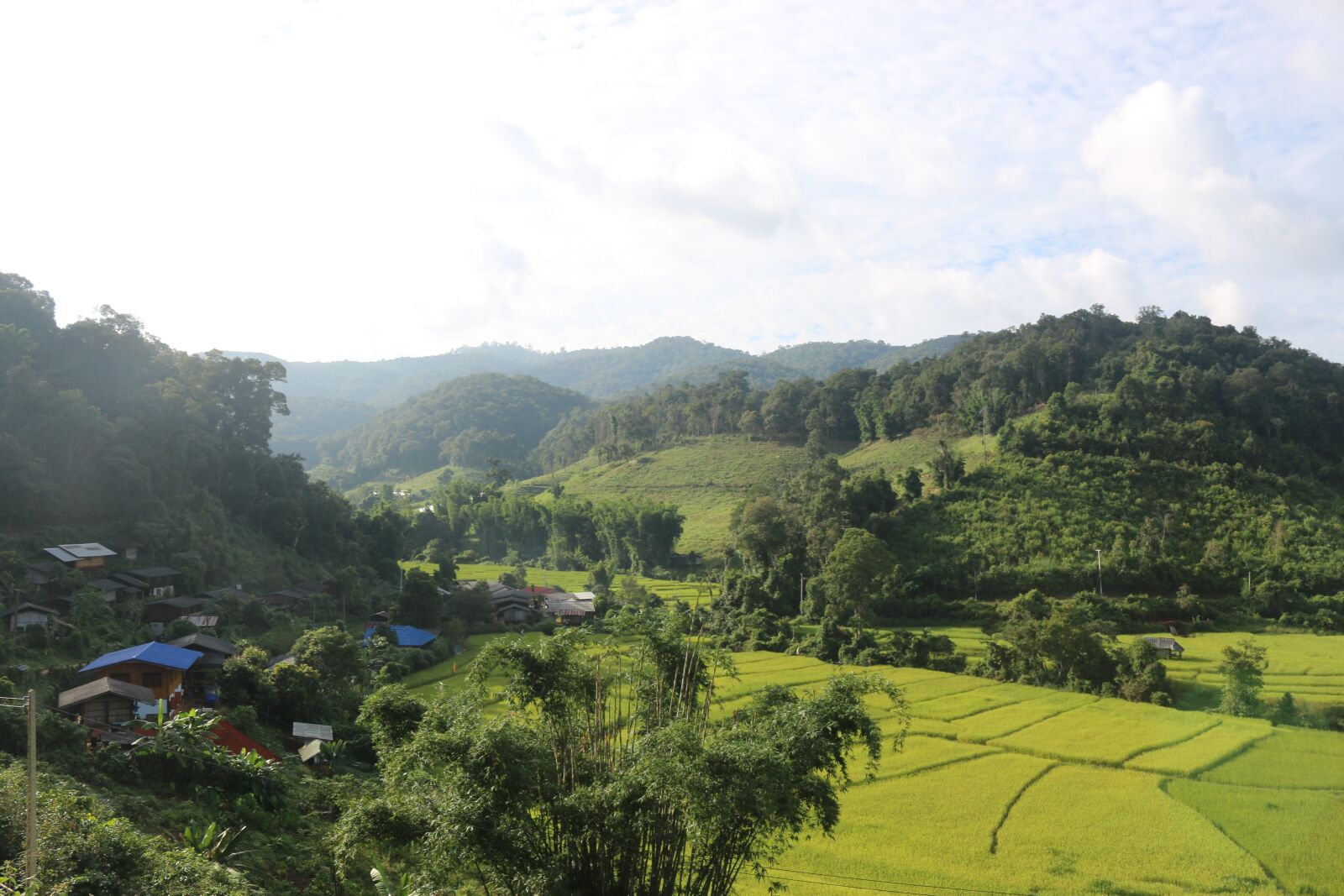 Canon EOS 70D sample photo. Thailand, landscape, rice patties photography