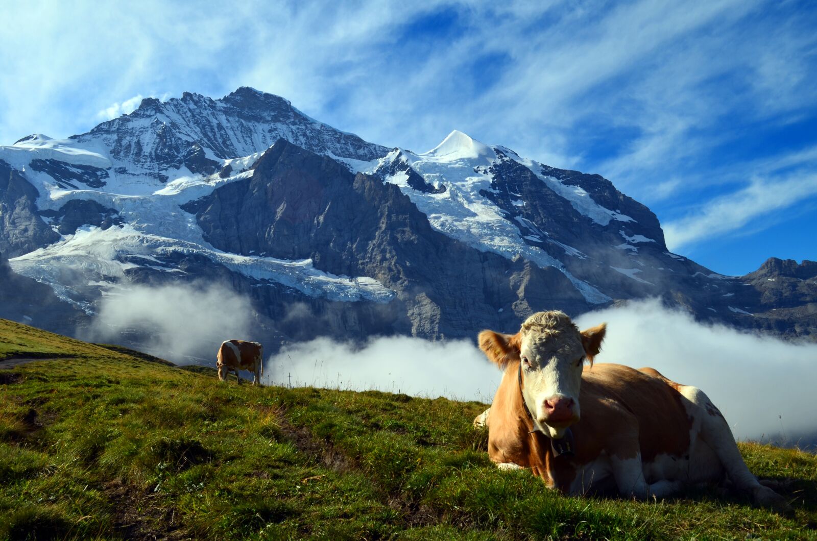 Nikon D5100 sample photo. Alpine, switzerland, mountains photography