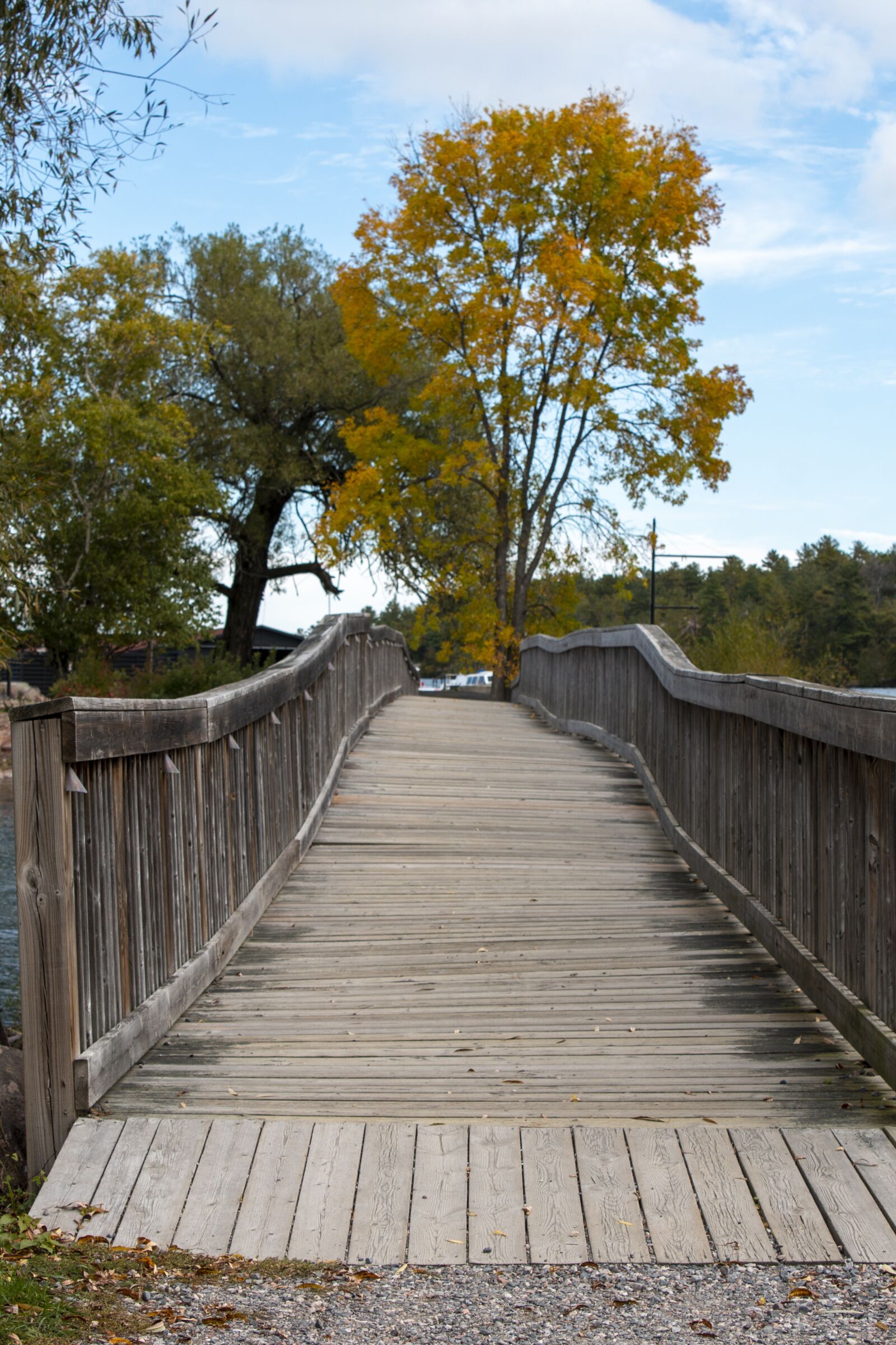 Canon EOS 70D sample photo. Bridge, tree, nature photography