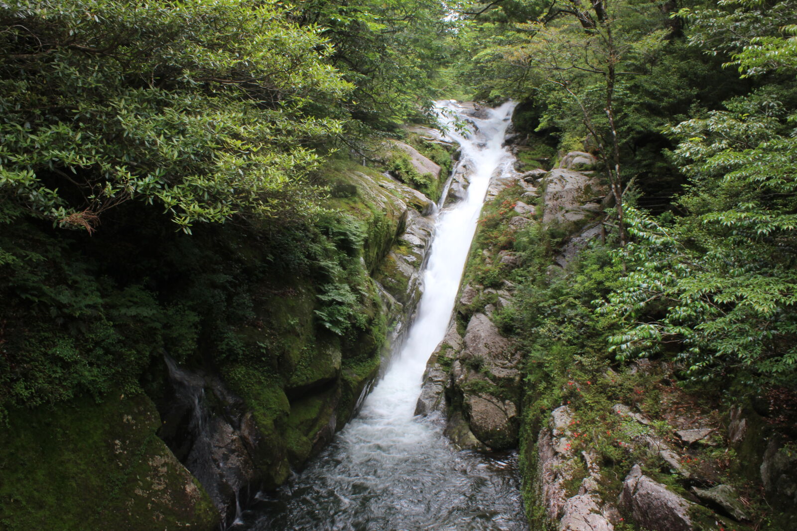 Canon EOS 600D (Rebel EOS T3i / EOS Kiss X5) sample photo. Falls photography