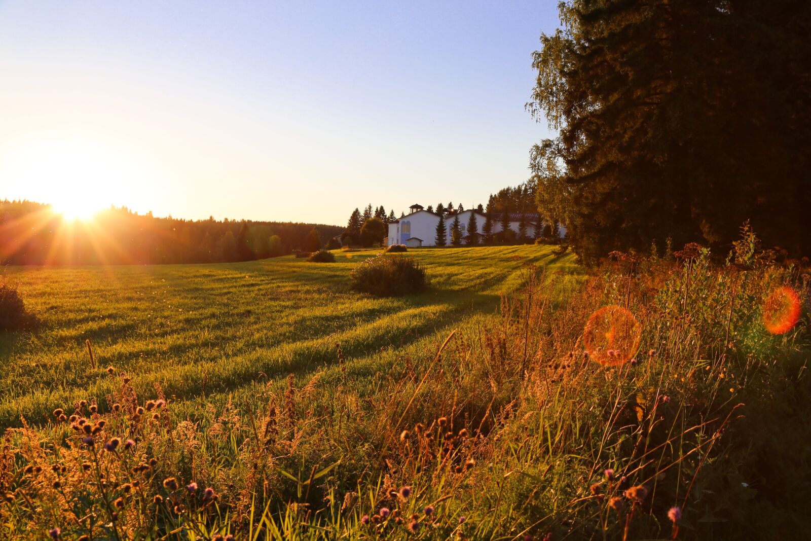 Canon EOS 6D + Canon EF 24-105mm F4L IS USM sample photo. Nature, sunset, landscape photography