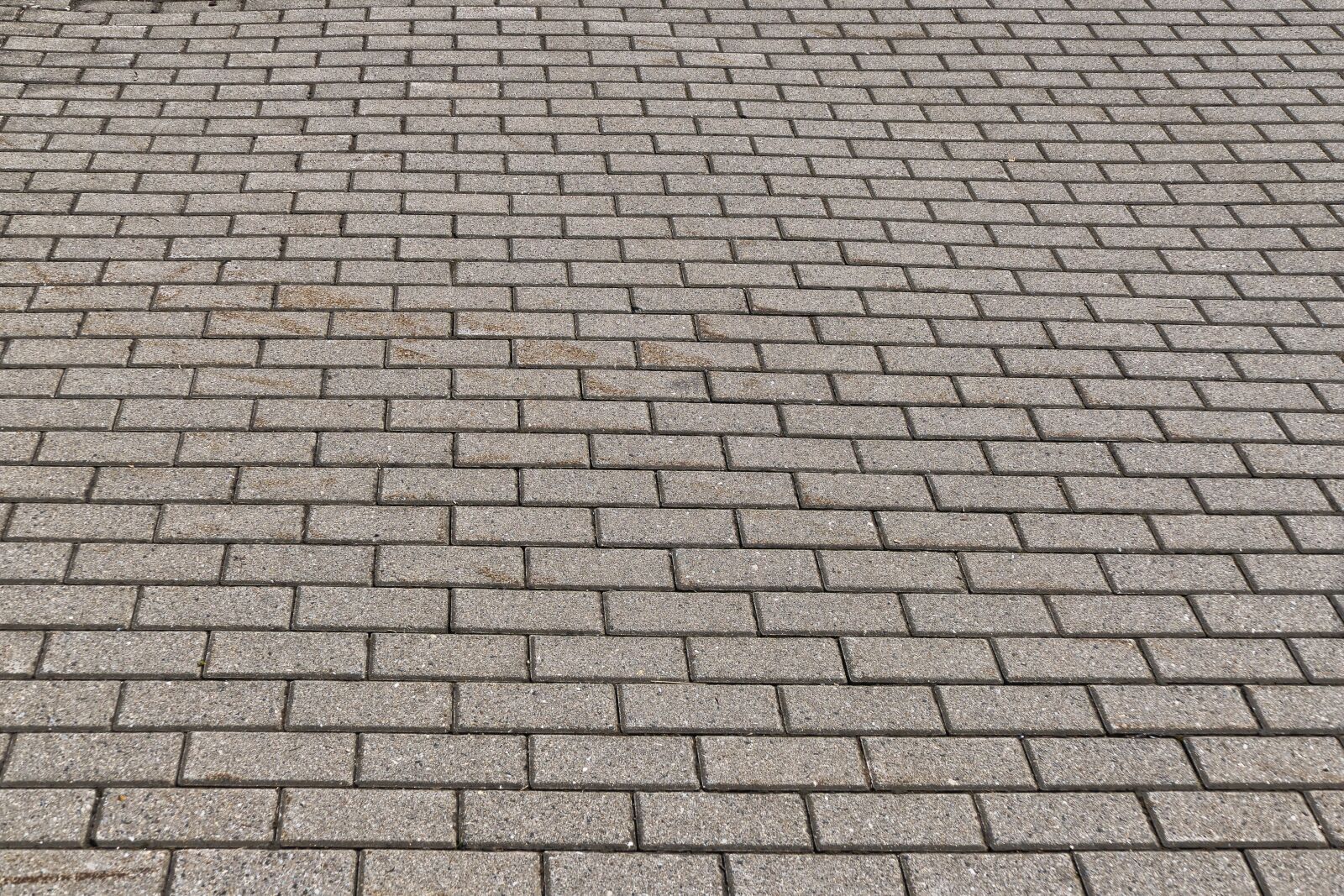 Panasonic Lumix DMC-FZ1000 sample photo. Patch, flooring, paving stones photography