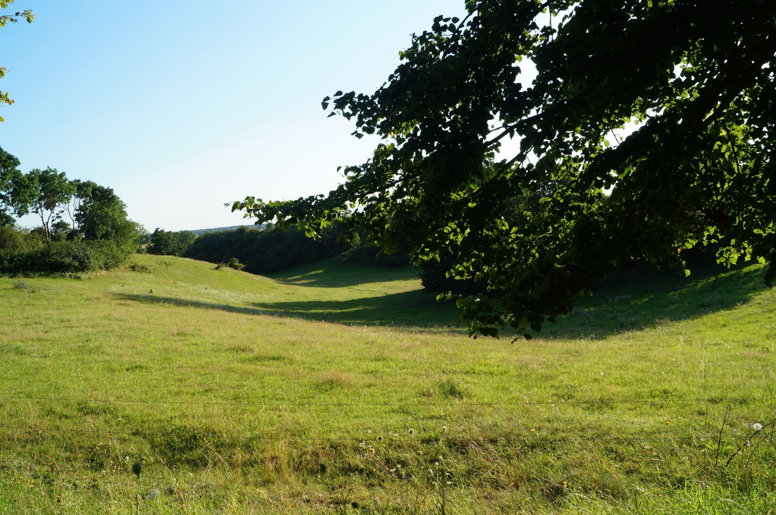 Sony SLT-A57 + Sony DT 18-55mm F3.5-5.6 SAM sample photo. Landscape, pasture, meadow photography