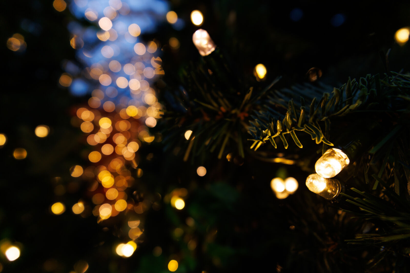 Canon EOS R7 sample photo. Christmas bokeh photography