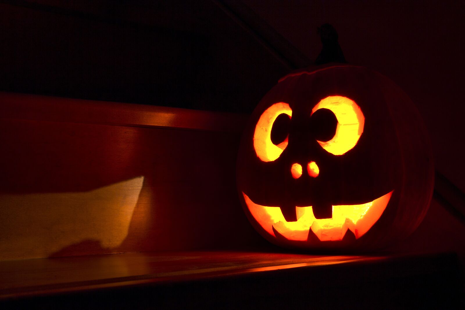 Canon EOS 600D (Rebel EOS T3i / EOS Kiss X5) sample photo. Halloween, pumpkin, face photography