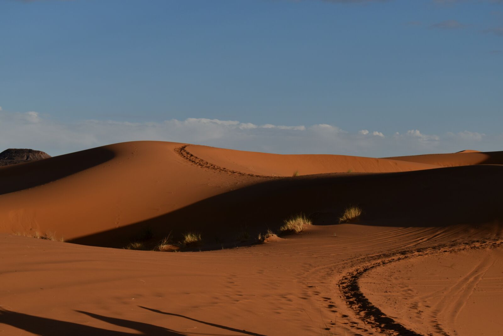 Nikon D3500 sample photo. Desert, sun, orange photography