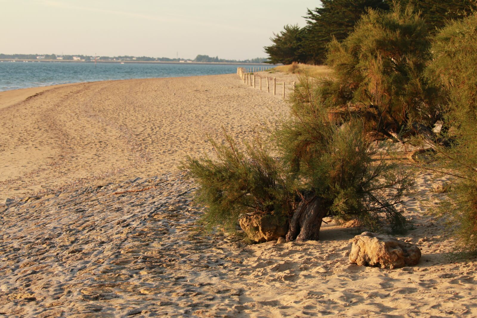 Canon EOS 5D Mark III sample photo. Beach, sand, végetation photography