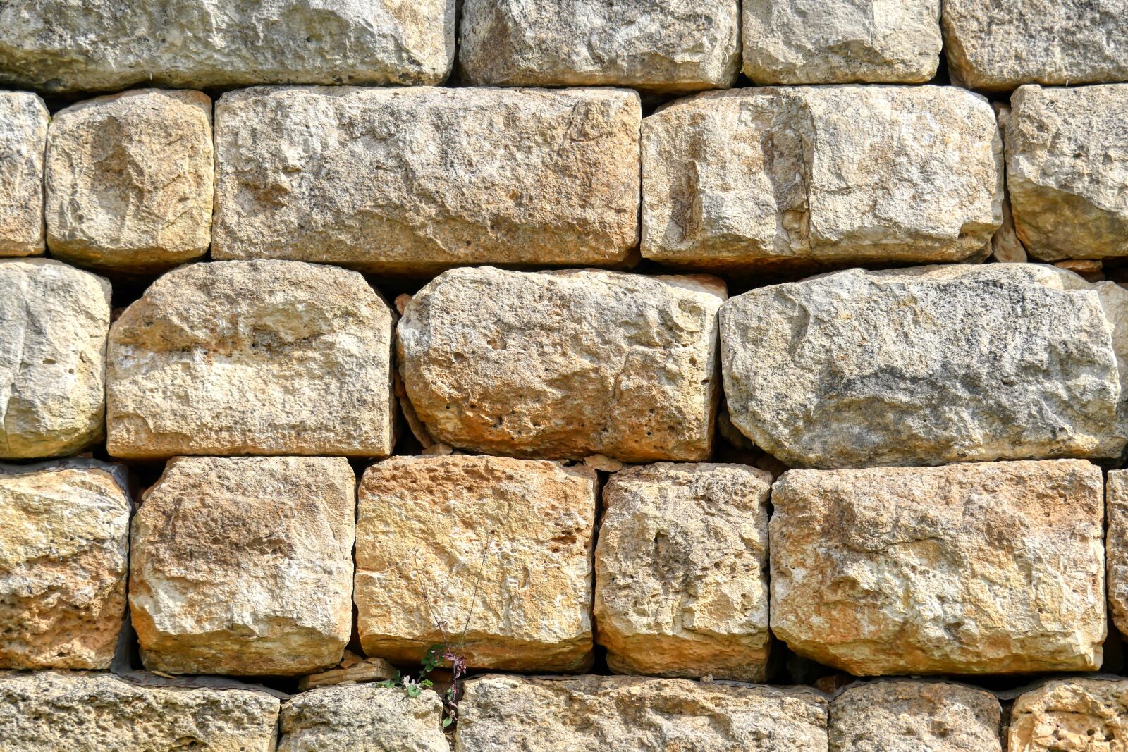 Panasonic Lumix DMC-GX8 sample photo. Wall, antique, traditionally photography