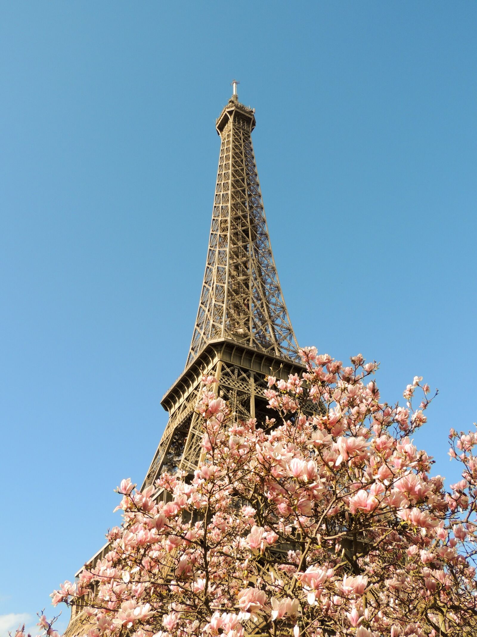 Nikon Coolpix P510 sample photo. Paris, eiffel tower, france photography