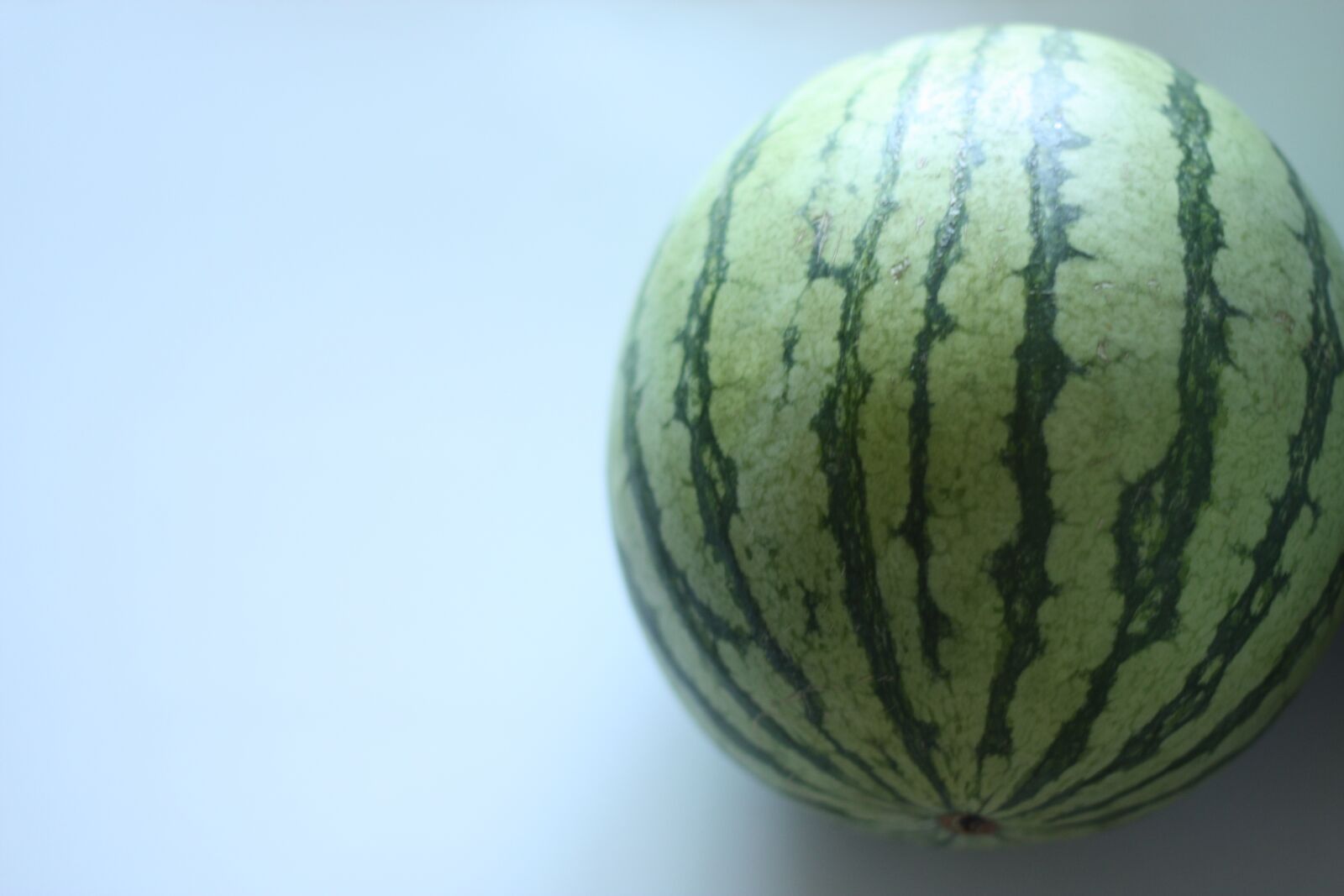 Canon EOS 450D (EOS Rebel XSi / EOS Kiss X2) sample photo. Watermelon, fruit, fresh photography