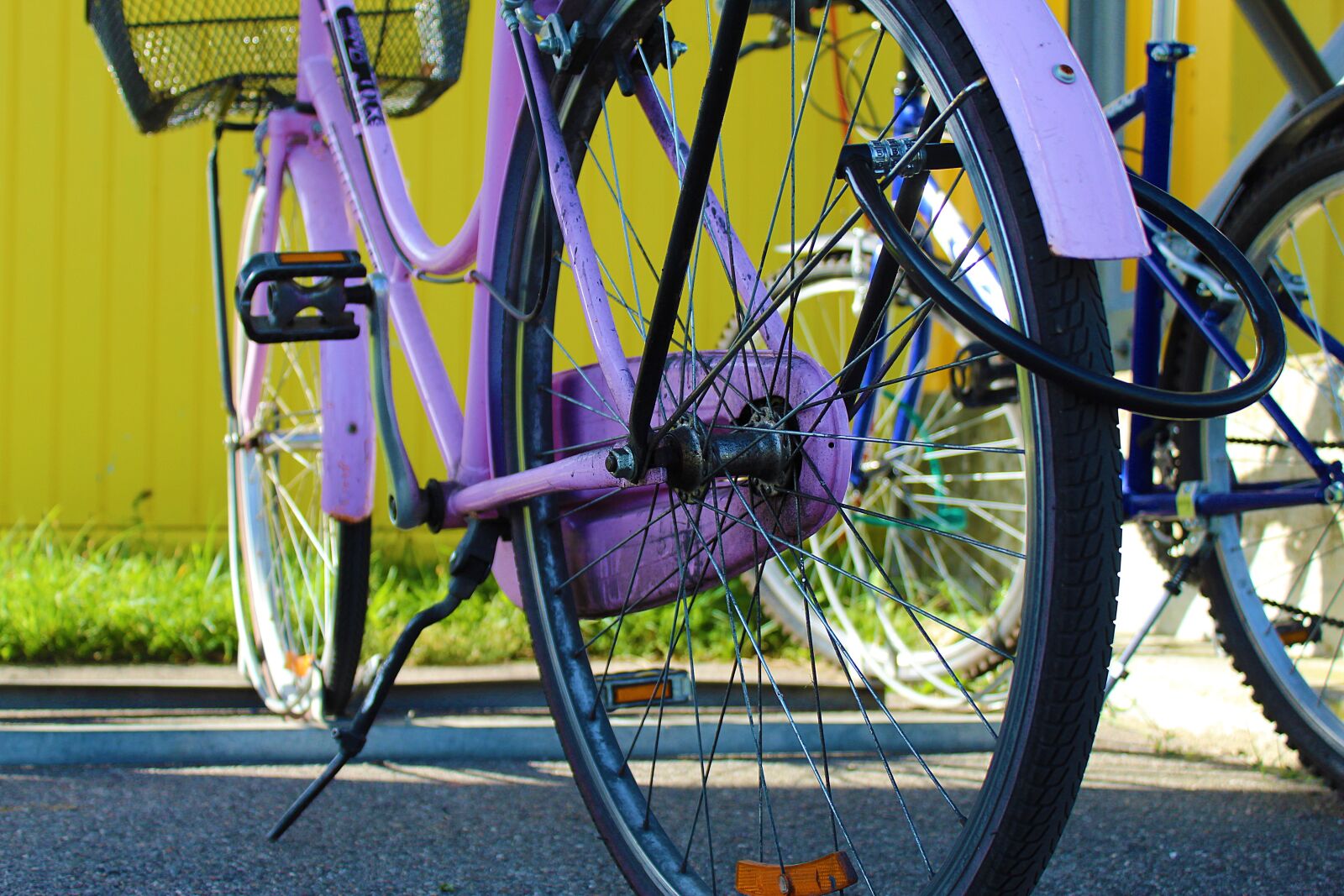 Canon EOS 1300D (EOS Rebel T6 / EOS Kiss X80) sample photo. Velo, bike, wheel photography