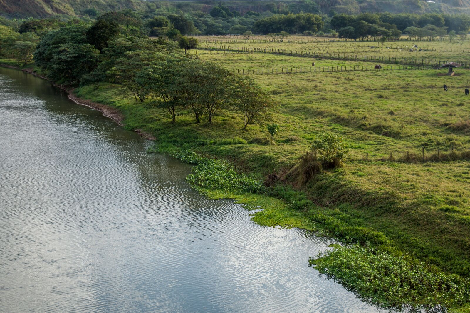 Nikon D3200 sample photo. River, margin, border photography