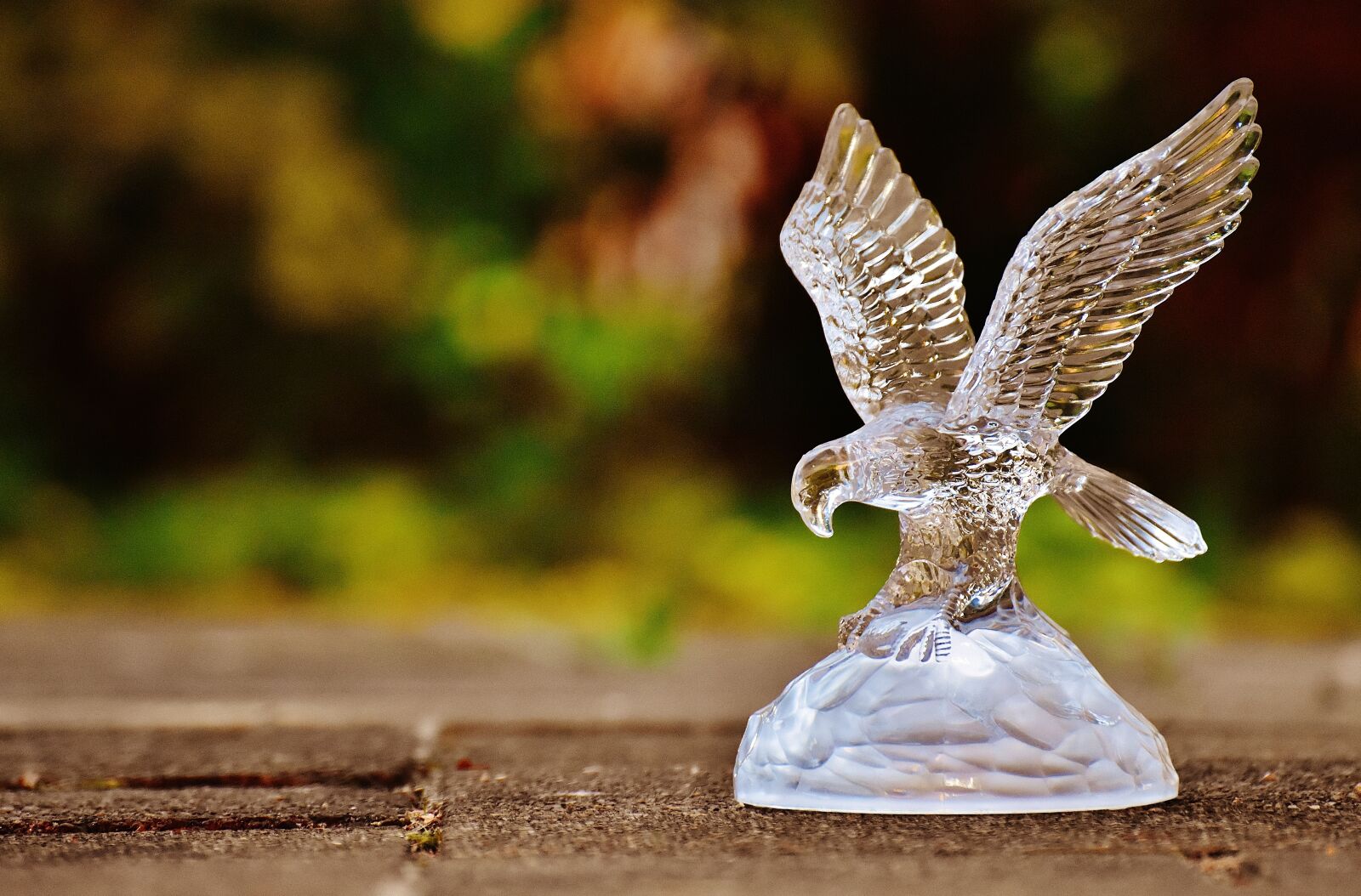 Nikon D7200 sample photo. Raptor, adler, glass photography