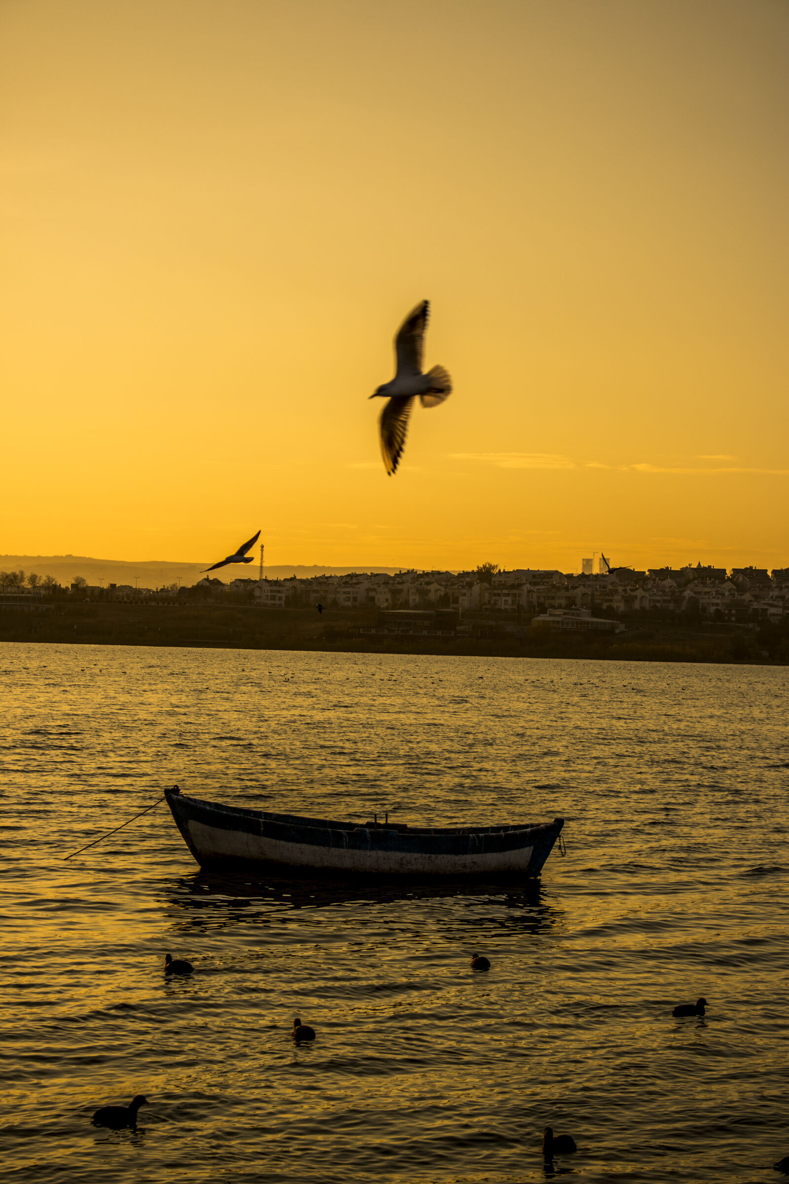 Canon EOS 750D (EOS Rebel T6i / EOS Kiss X8i) sample photo. Golbasi, ankara photography