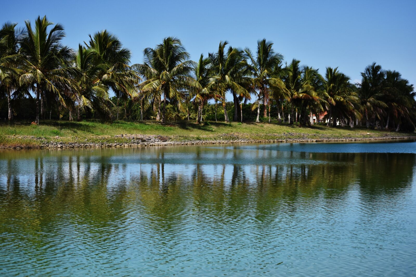 Nikon D810 sample photo. Tropical, body of water photography
