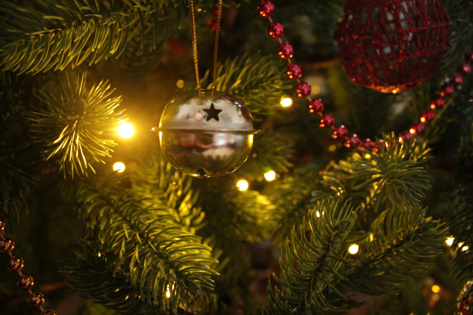 Canon EOS 2000D (EOS Rebel T7 / EOS Kiss X90 / EOS 1500D) sample photo. Christmas, bell, decoration photography