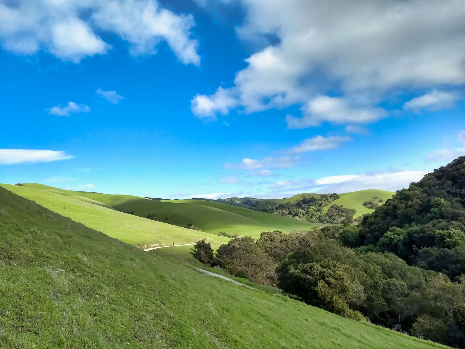 Motorola Moto G (5) Plus sample photo. Green field, blue sky photography