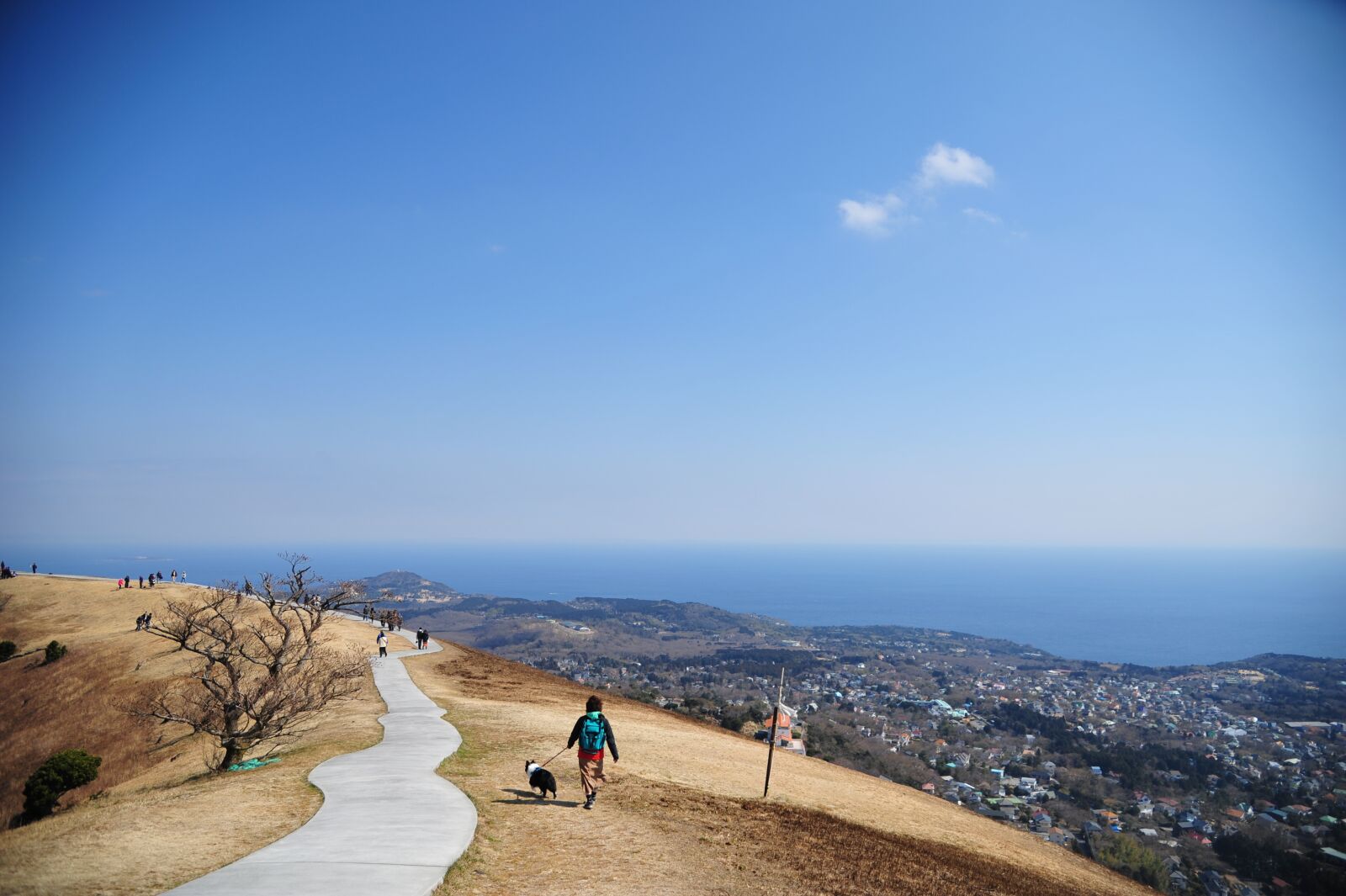 Nikon D700 sample photo. Summit, sea, sky photography