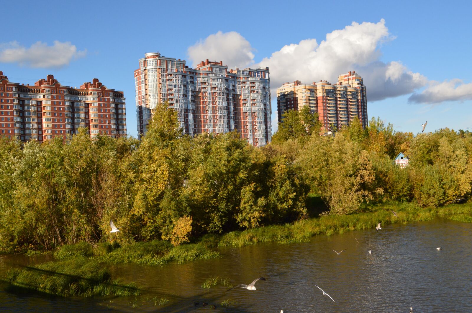 Nikon D3200 sample photo. City, small river, nature photography