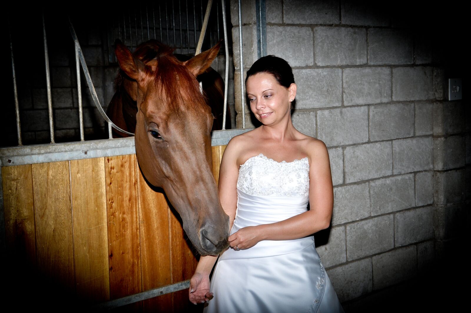 Nikon D90 sample photo. Wedding, day, horse photography