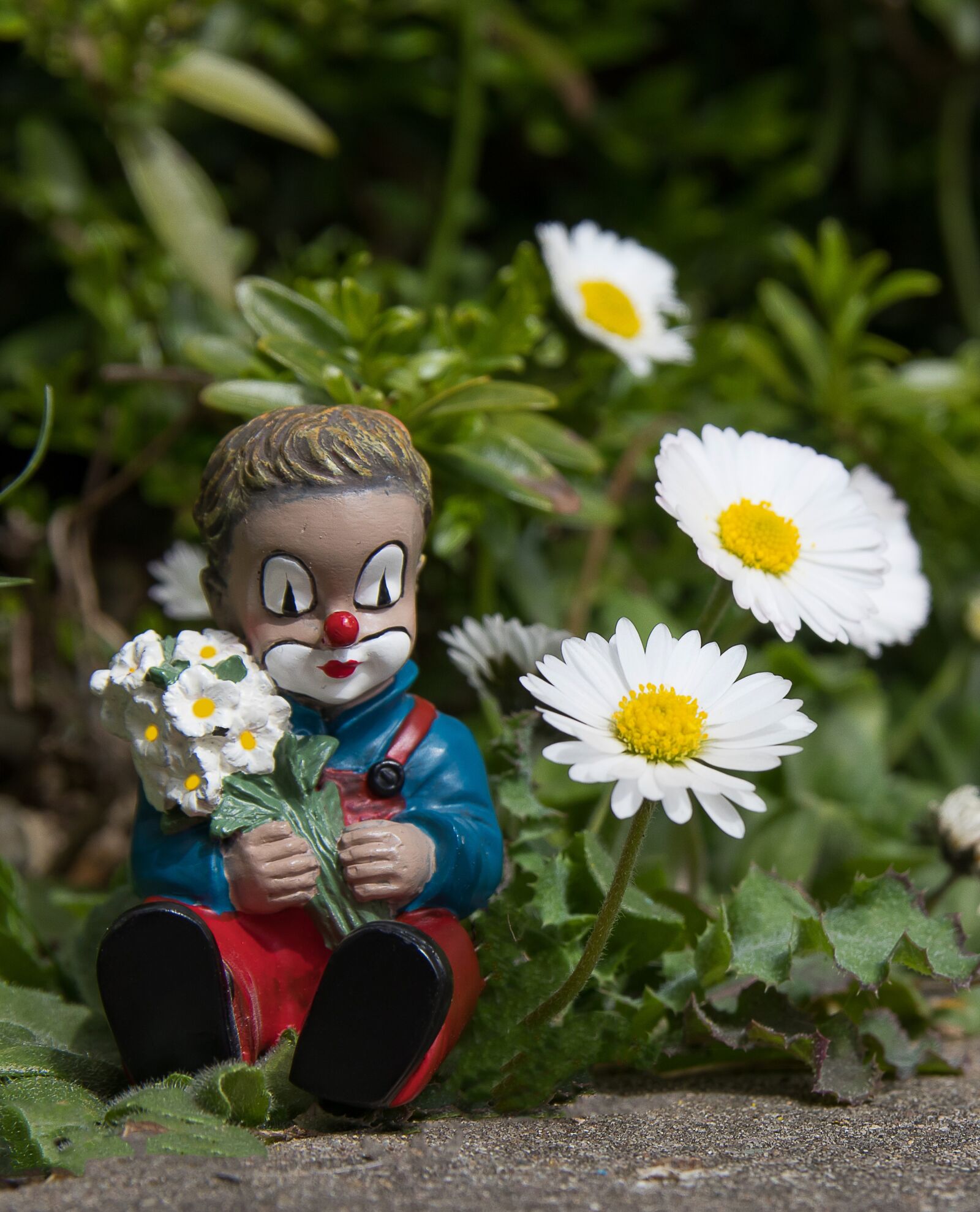 Canon EOS 80D sample photo. Clown, daisy, figure photography