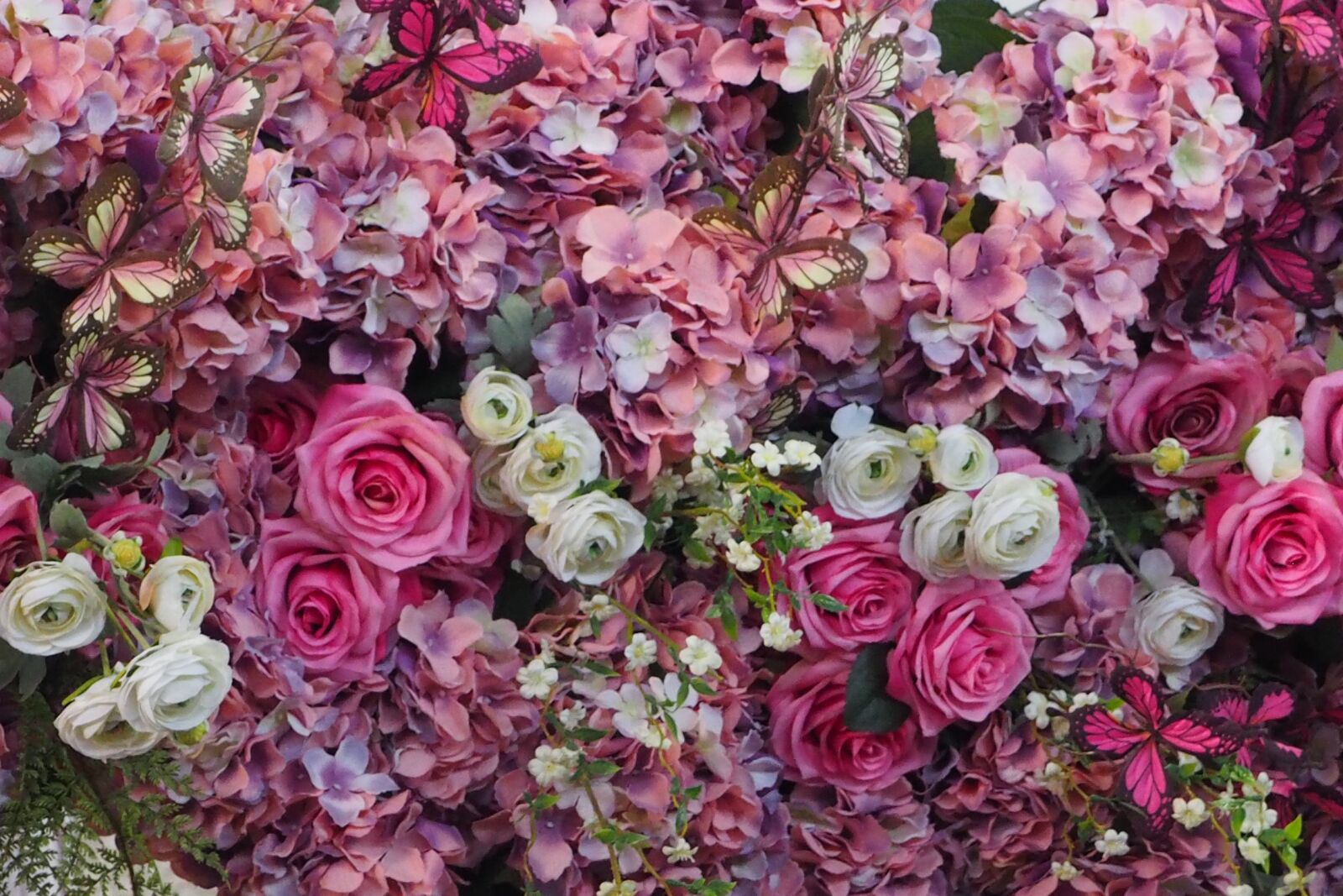 Olympus OM-D E-M1 + OLYMPUS M.12-50mm F3.5-6.3 sample photo. Pink flowers, butterfly, bouquet photography