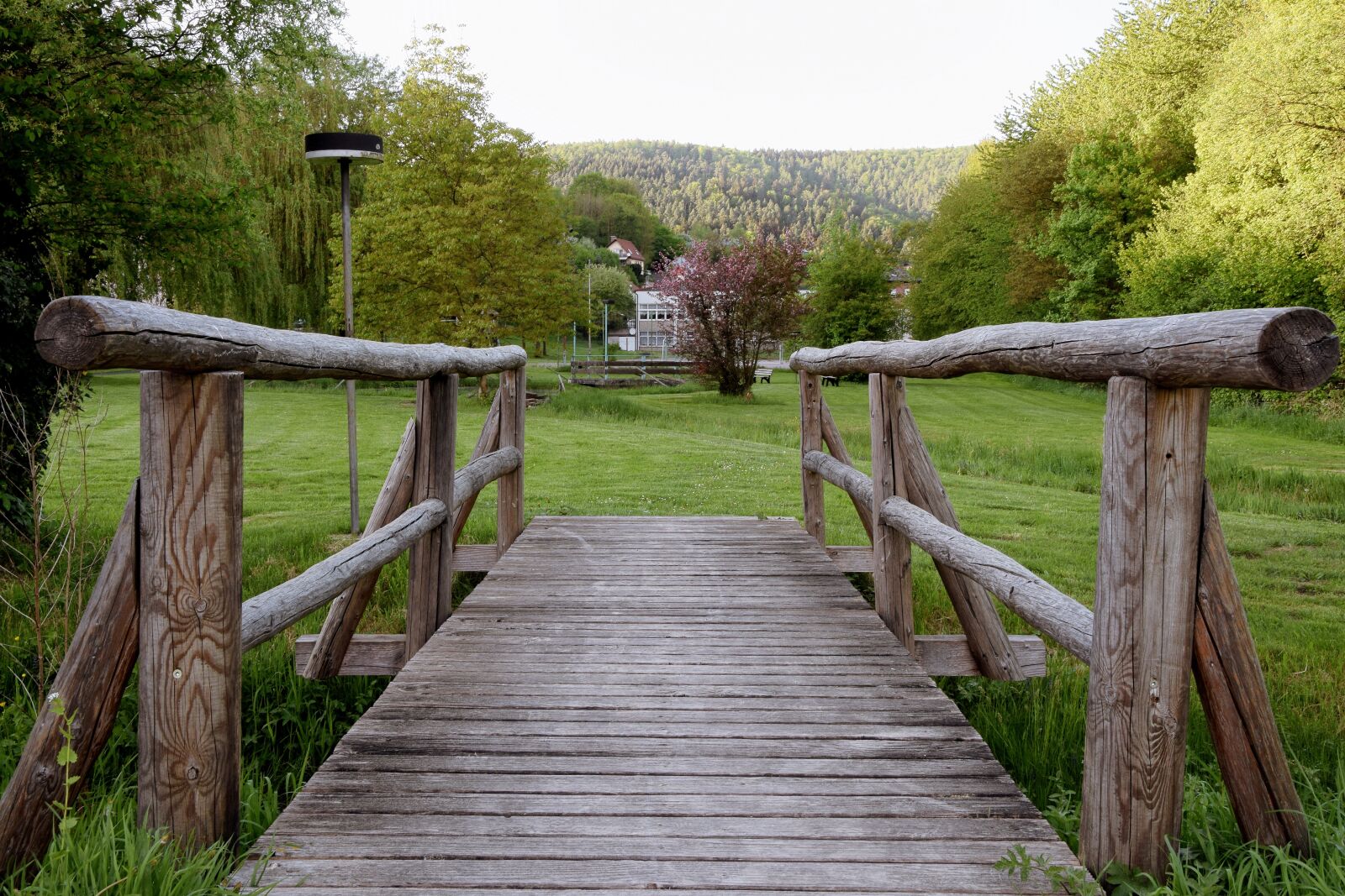 Nikon D5300 sample photo. Wooden bridge, strains, idyllic photography