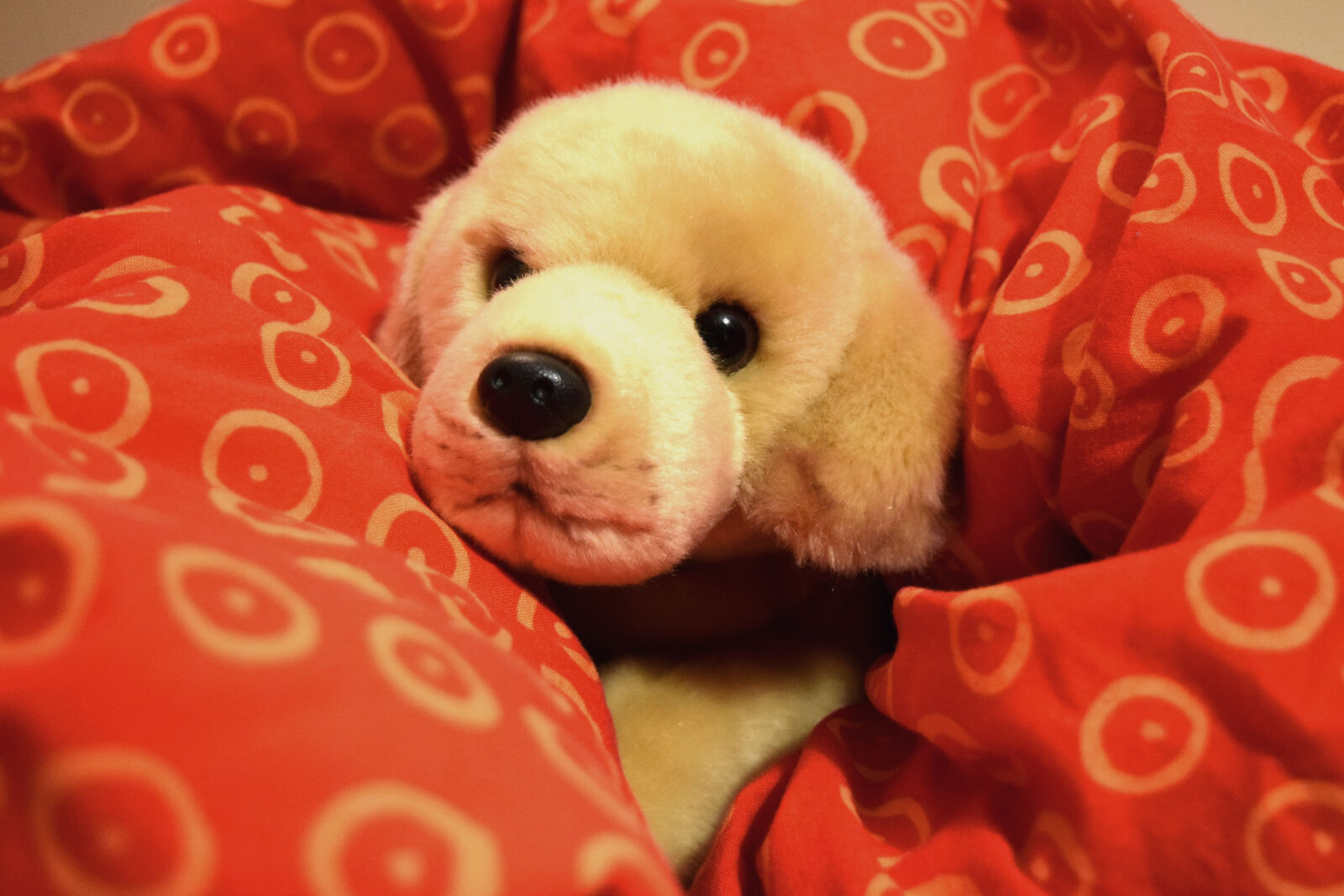 Nikon D3300 sample photo. Theme, dogs photography