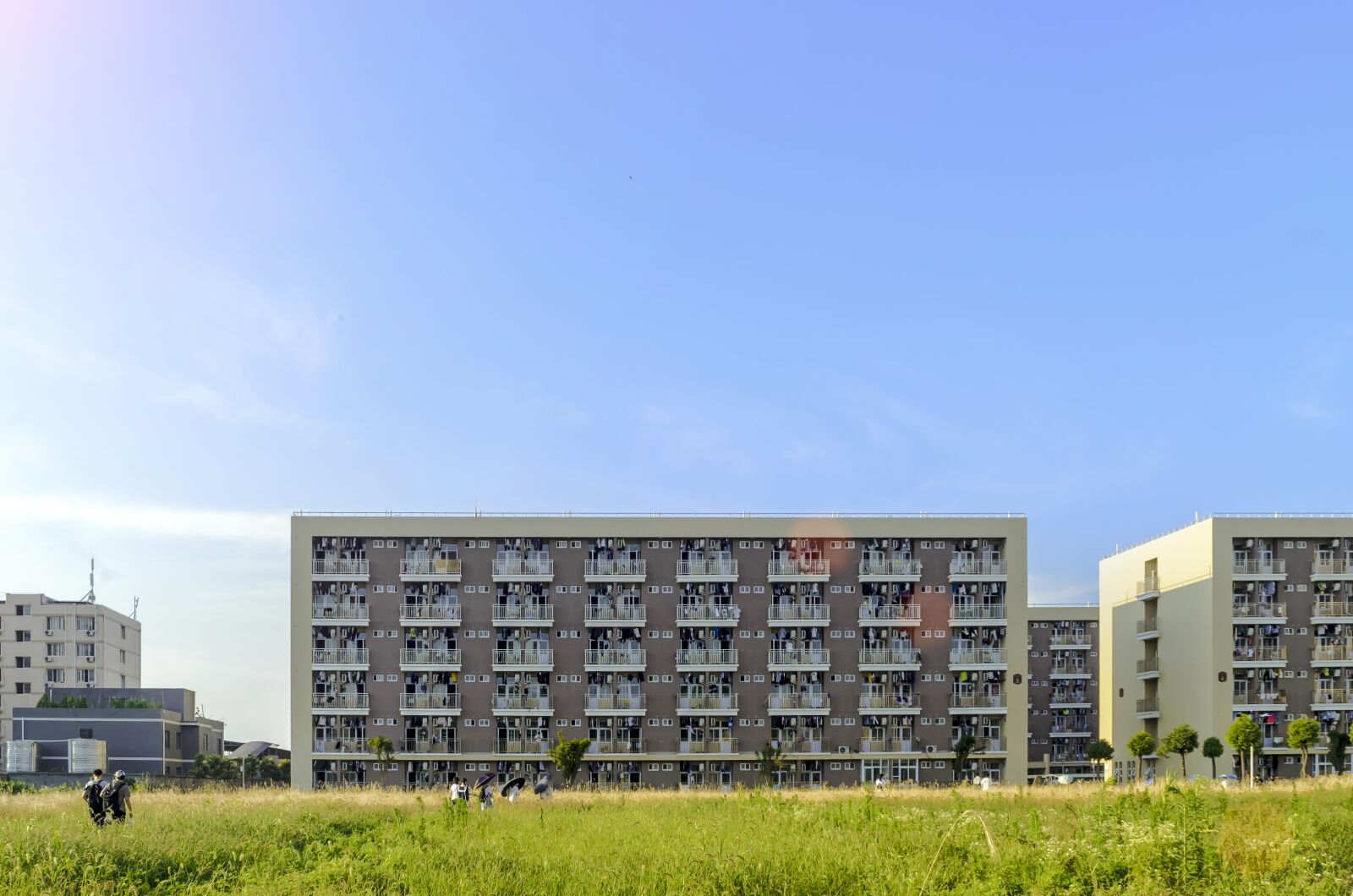 Nikon D5100 sample photo. Freshman, yangtze university, summer photography