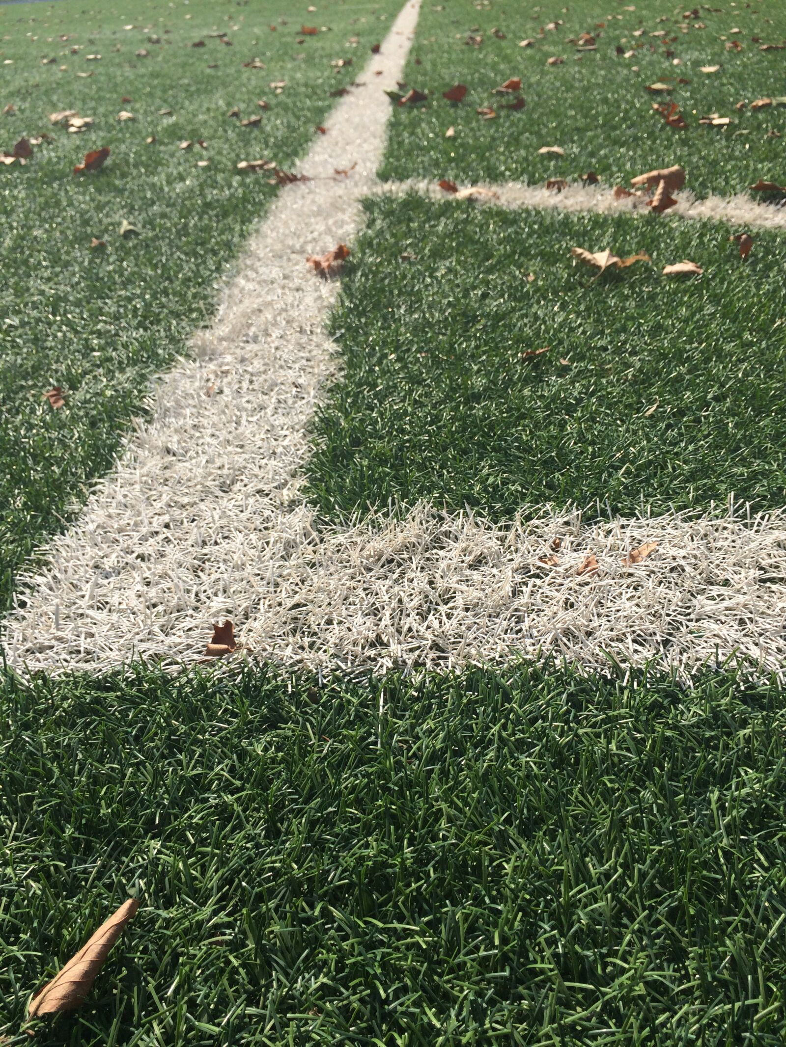 iPhone 5s back camera 4.15mm f/2.2 sample photo. Fake grass, football field photography