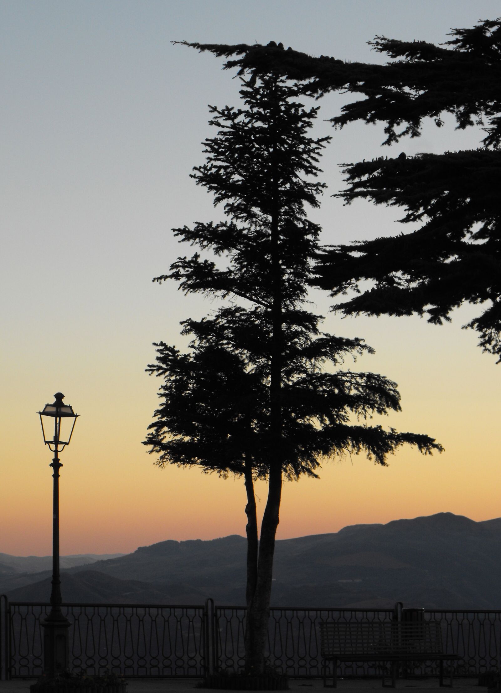 Fujifilm FinePix S1000fd sample photo. Tree, light, sunset photography