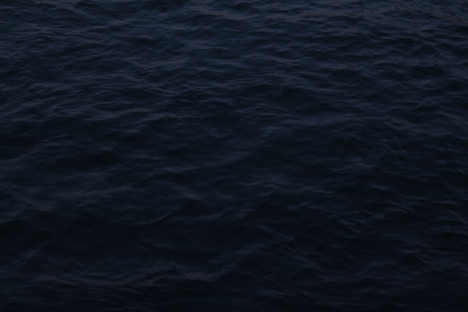Canon EOS 700D (EOS Rebel T5i / EOS Kiss X7i) sample photo. Atmospheric, dark, black photography