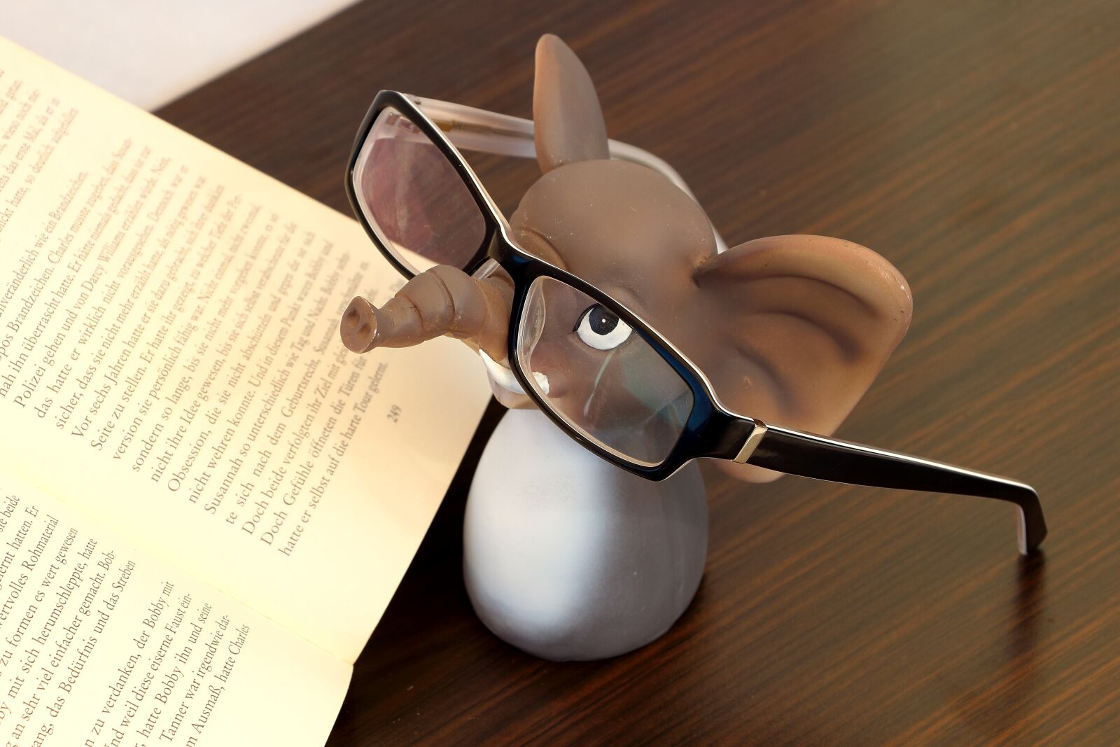 Canon EOS 700D (EOS Rebel T5i / EOS Kiss X7i) sample photo. Elephant, glasses, reading glasses photography
